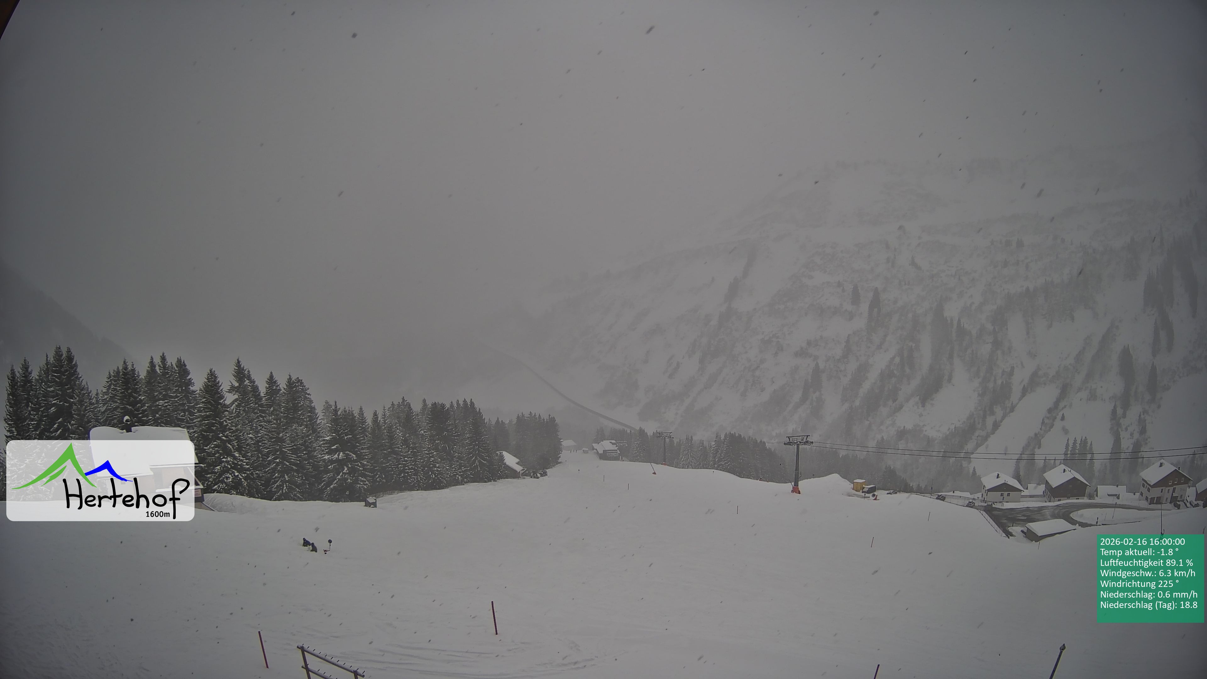 Archiv Foto Webcam Damüls: Blick vom Hertehof