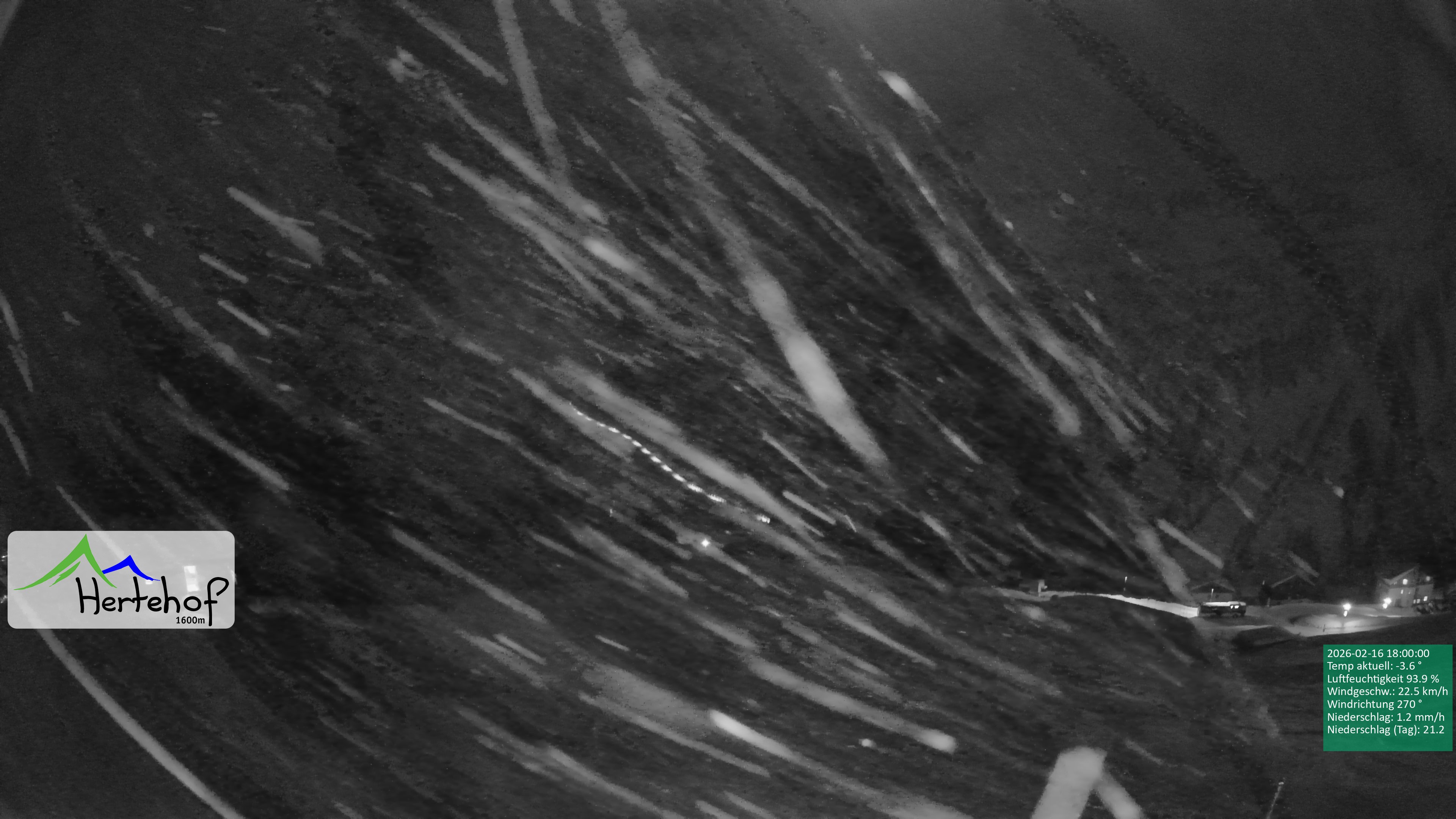 Archiv Foto Webcam Damüls: Blick vom Hertehof