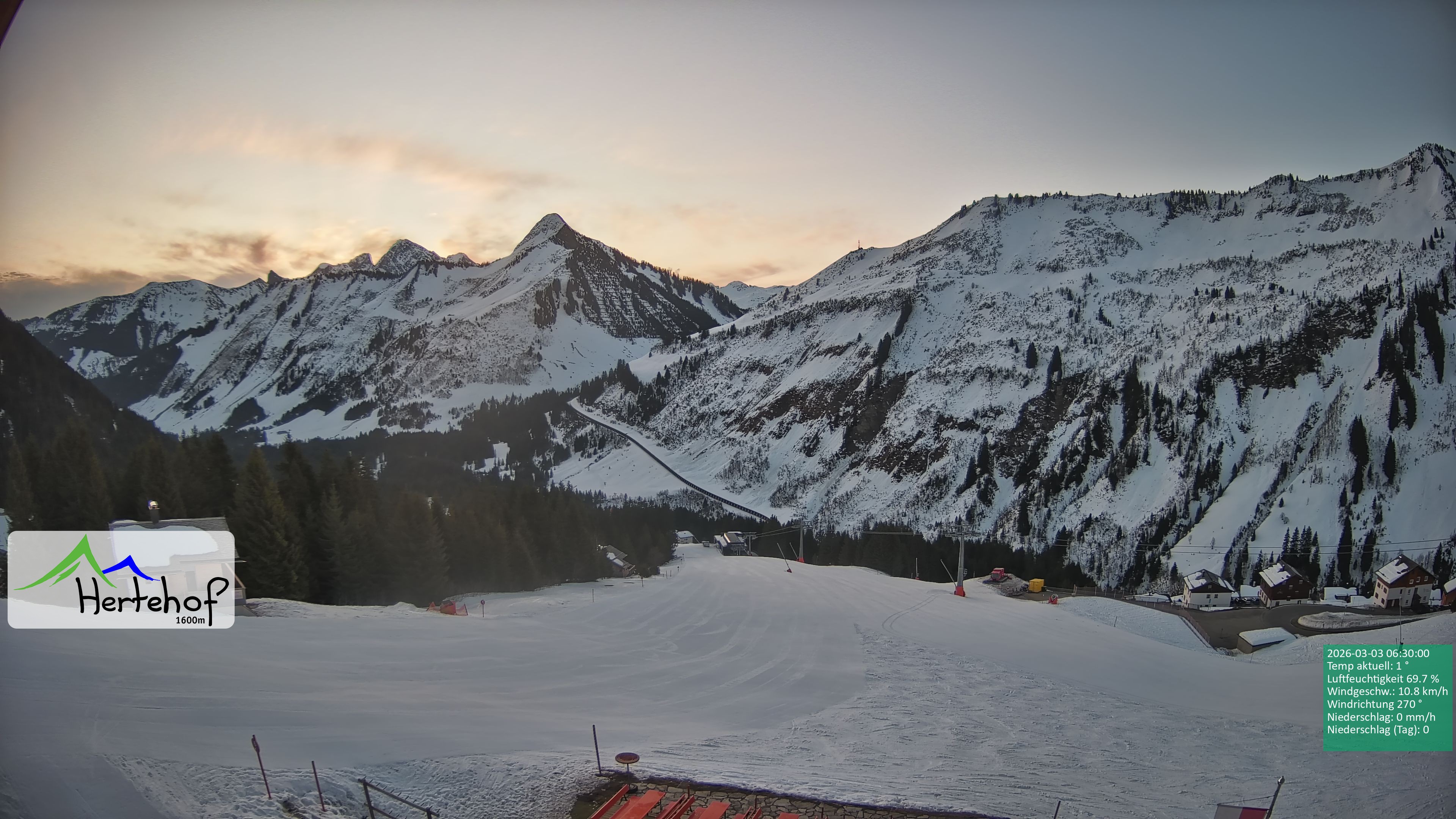 Archiv Foto Webcam Damüls: Blick vom Hertehof