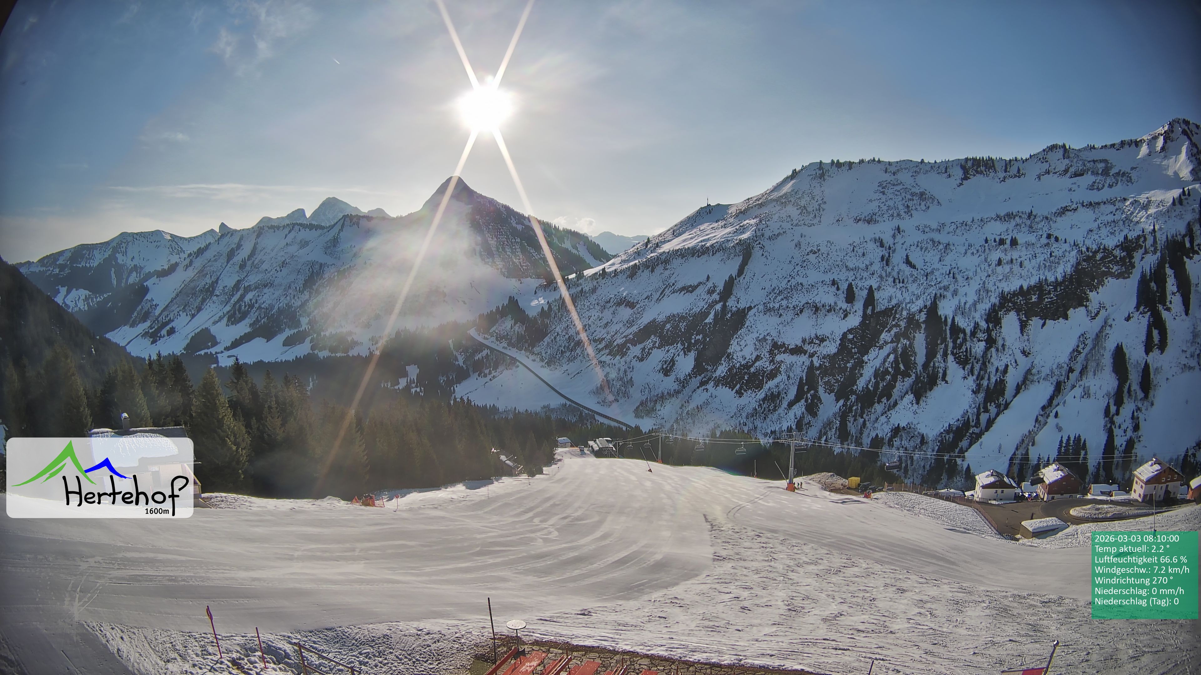 Archiv Foto Webcam Damüls: Blick vom Hertehof