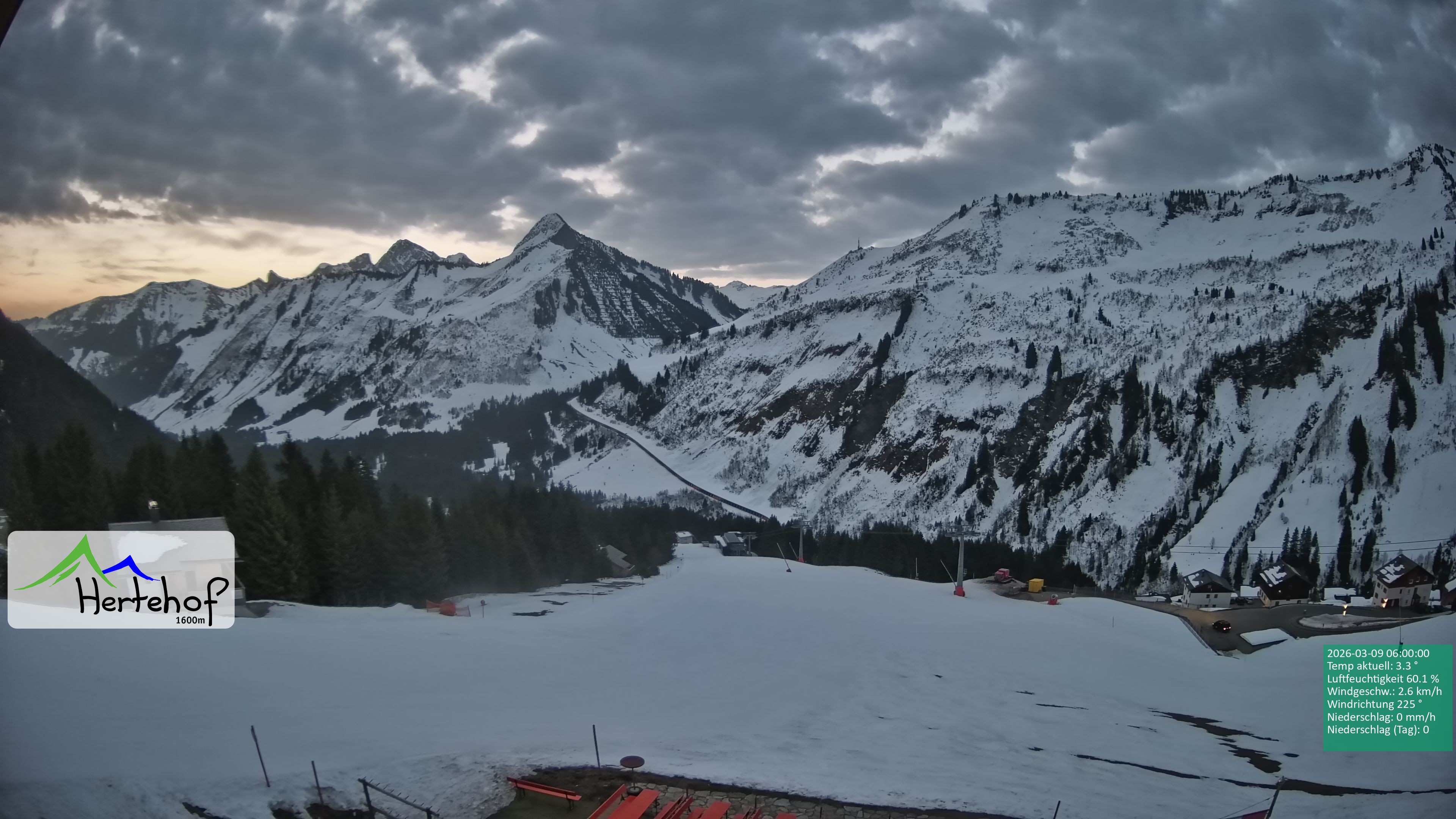 Archiv Foto Webcam Damüls: Blick vom Hertehof