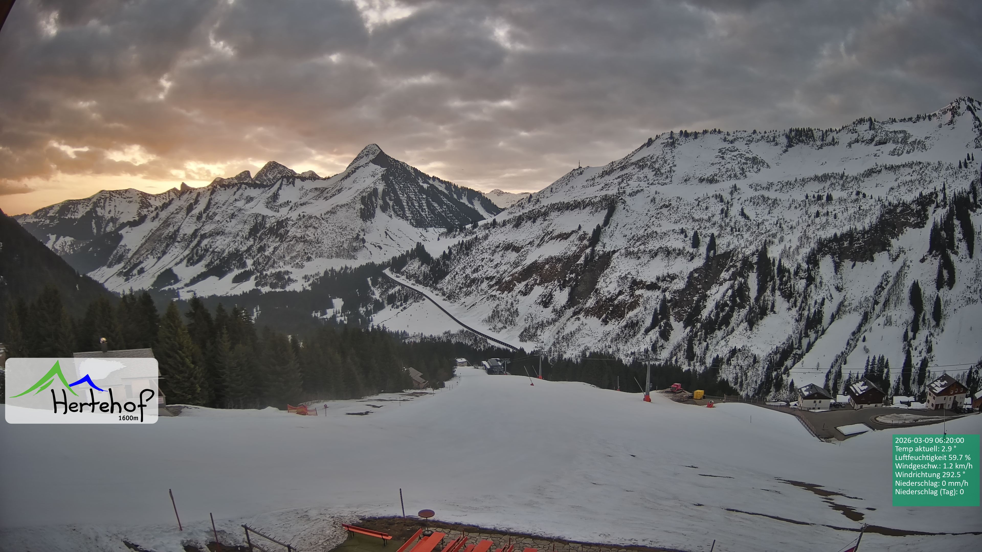 Archiv Foto Webcam Damüls: Blick vom Hertehof