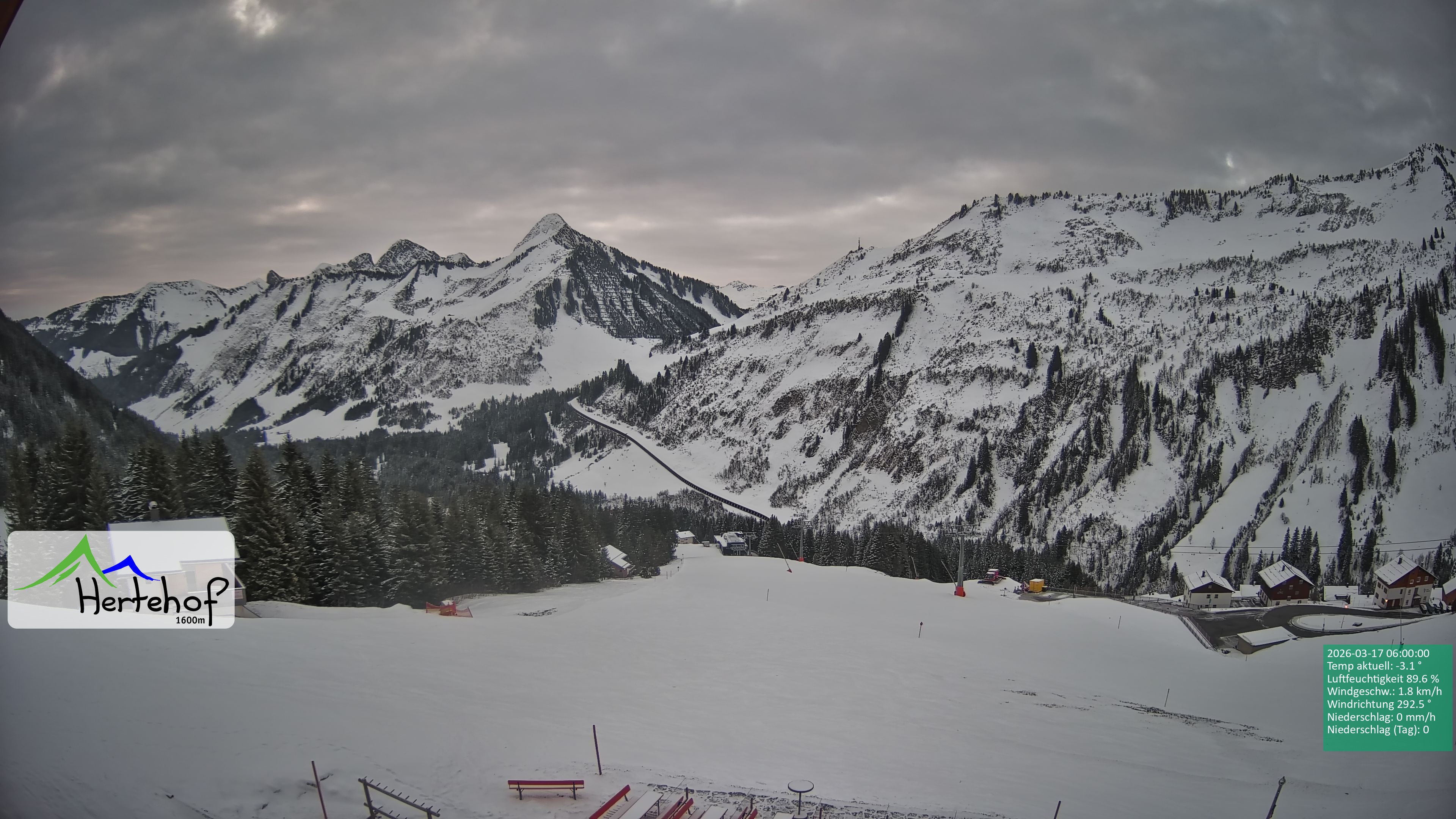 Archiv Foto Webcam Damüls: Blick vom Hertehof