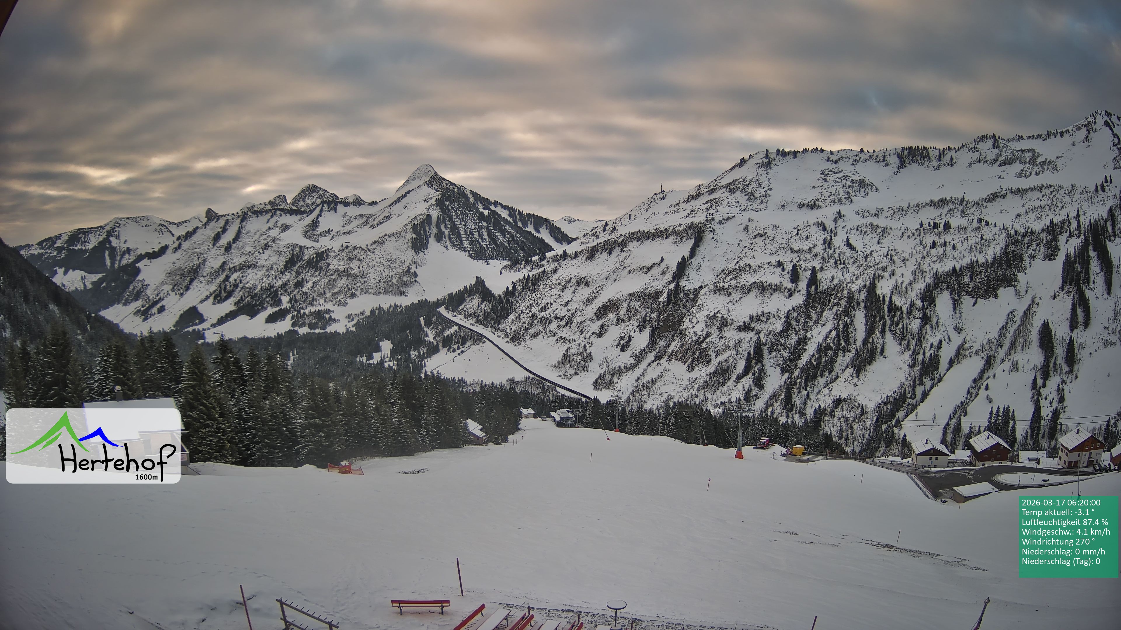 Archiv Foto Webcam Damüls: Blick vom Hertehof