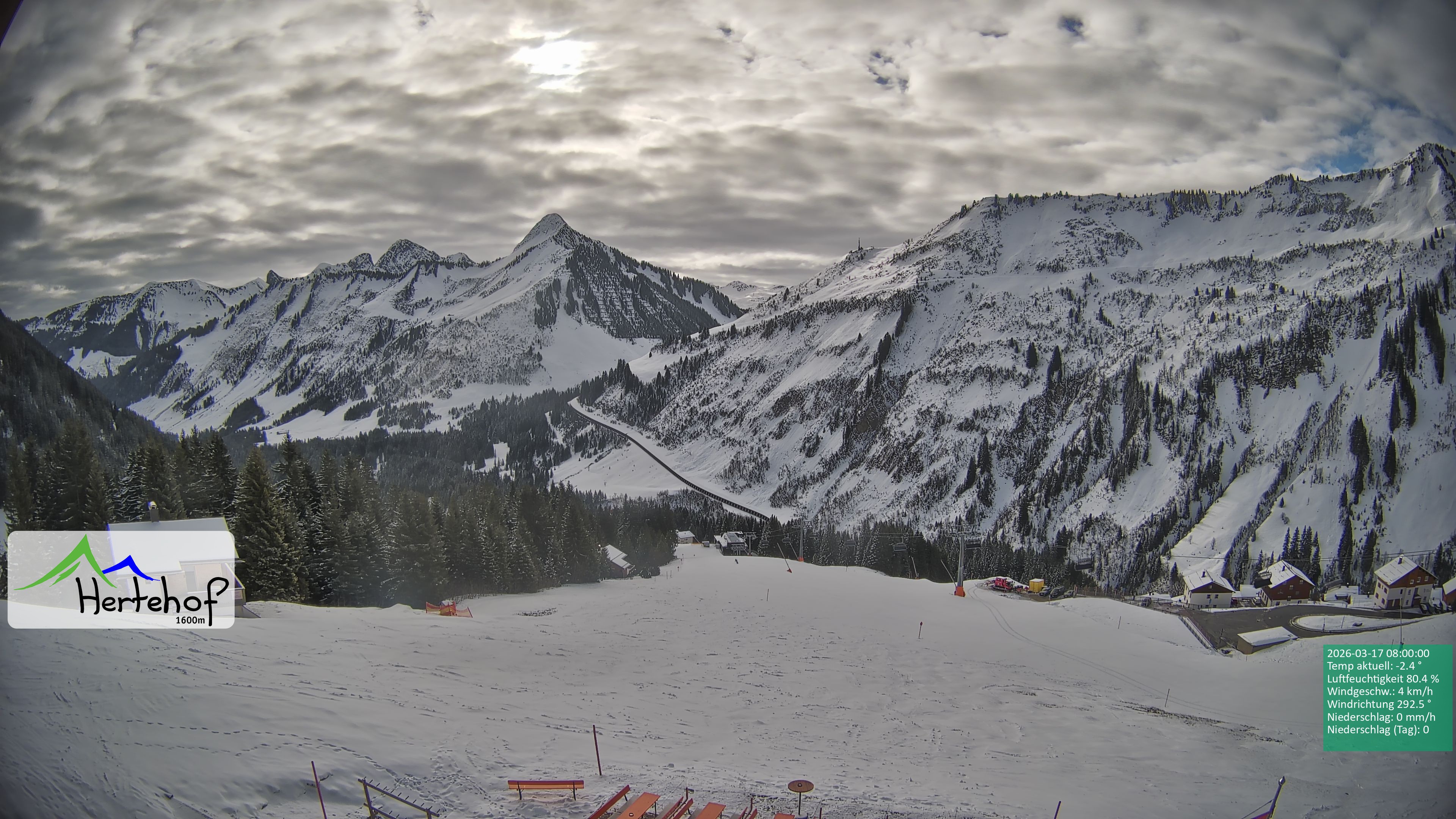 Archiv Foto Webcam Damüls: Blick vom Hertehof