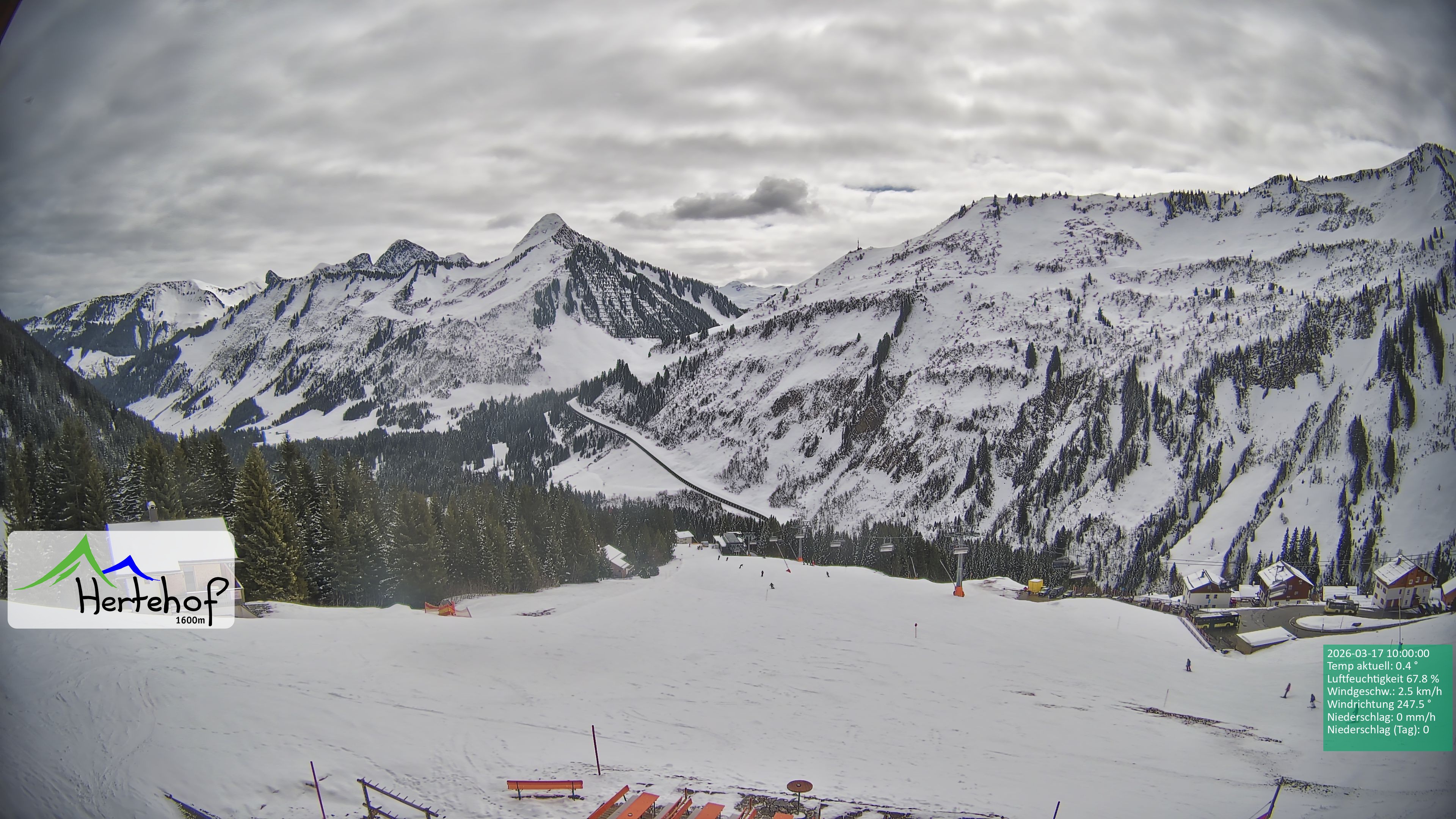 Archiv Foto Webcam Damüls: Blick vom Hertehof