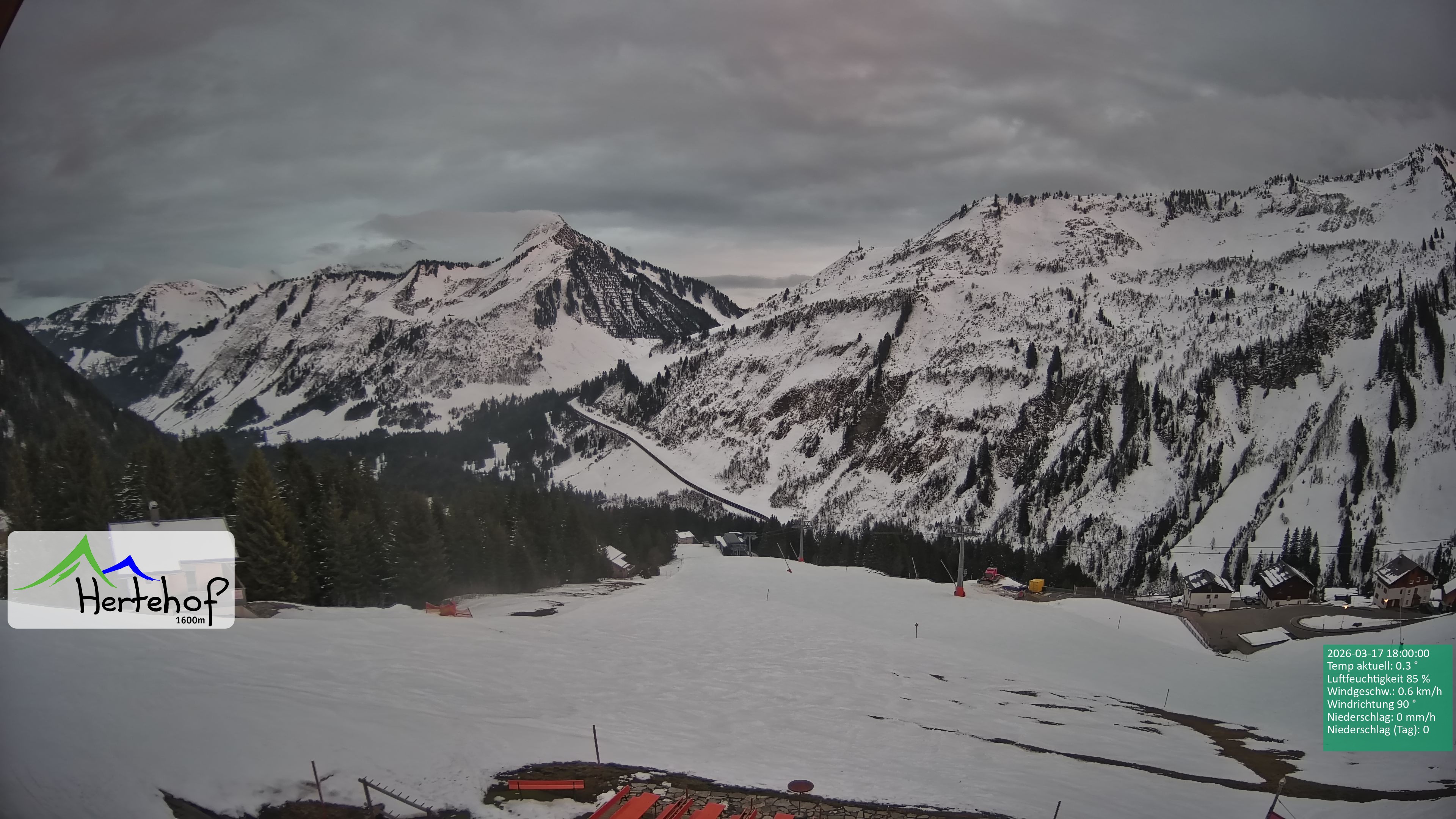 Archiv Foto Webcam Damüls: Blick vom Hertehof