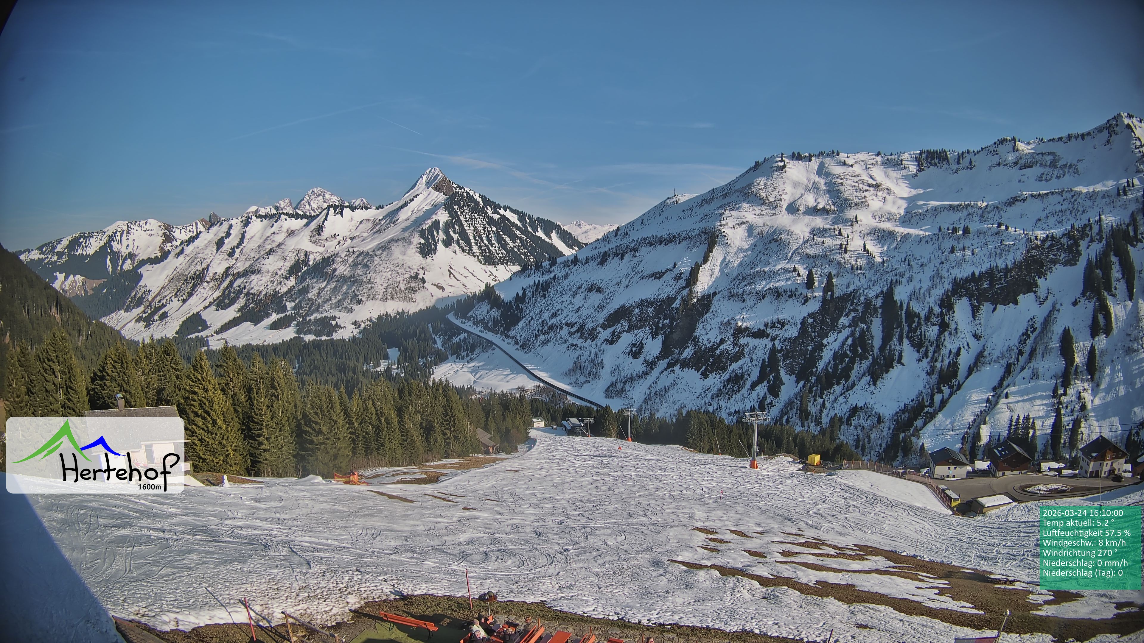 Archiv Foto Webcam Damüls: Blick vom Hertehof