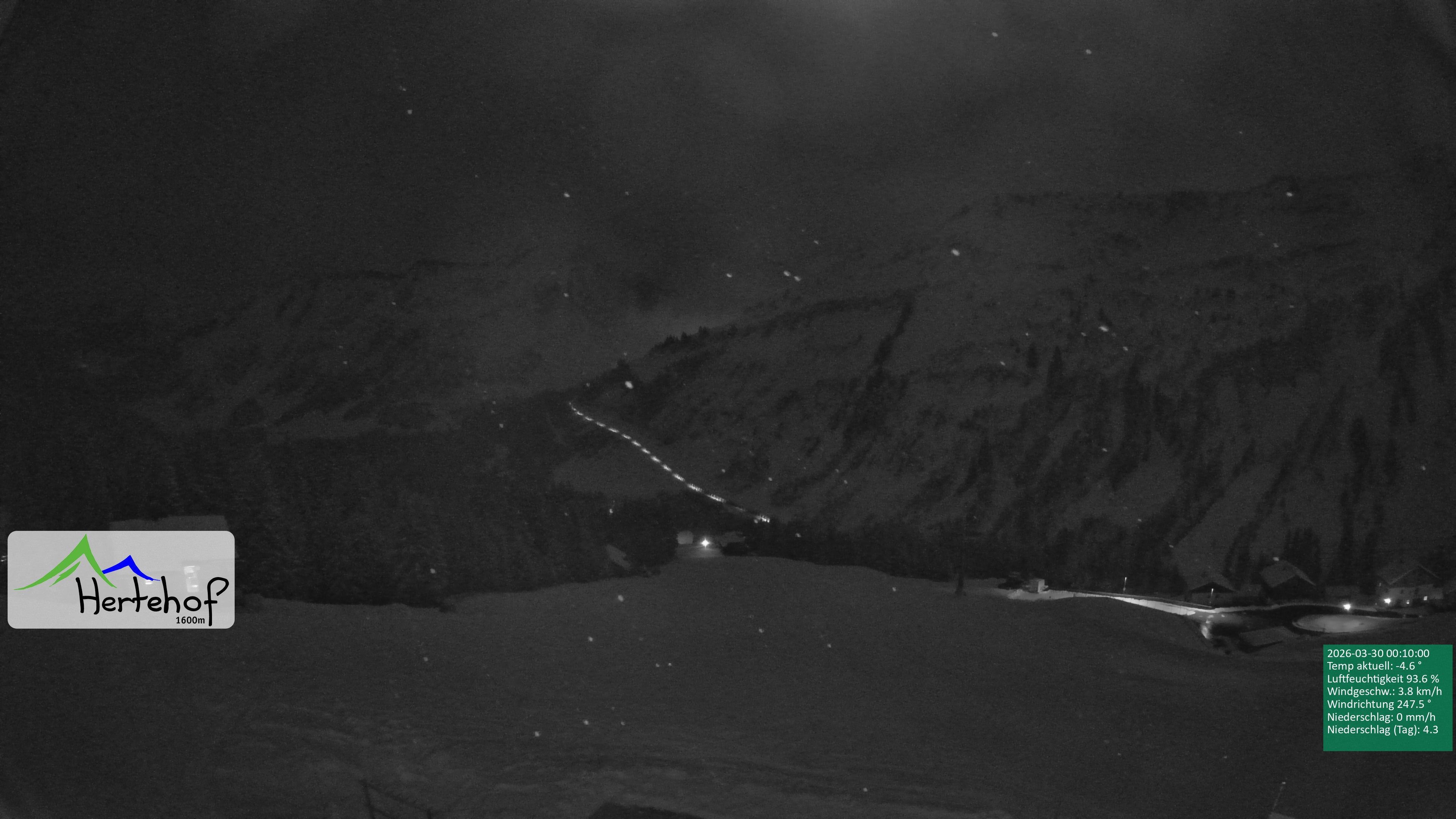 Archiv Foto Webcam Damüls: Blick vom Hertehof