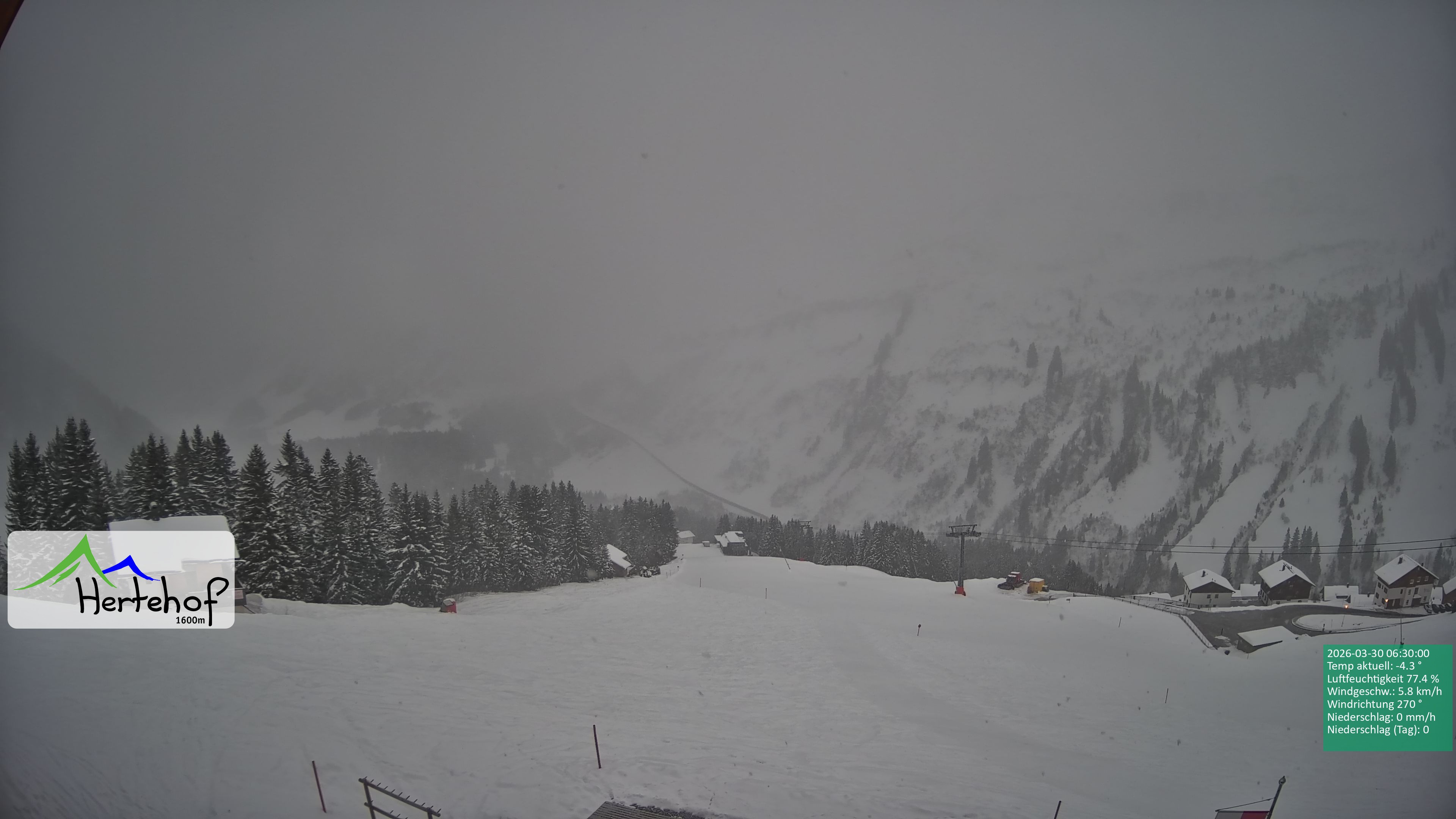 Archiv Foto Webcam Damüls: Blick vom Hertehof