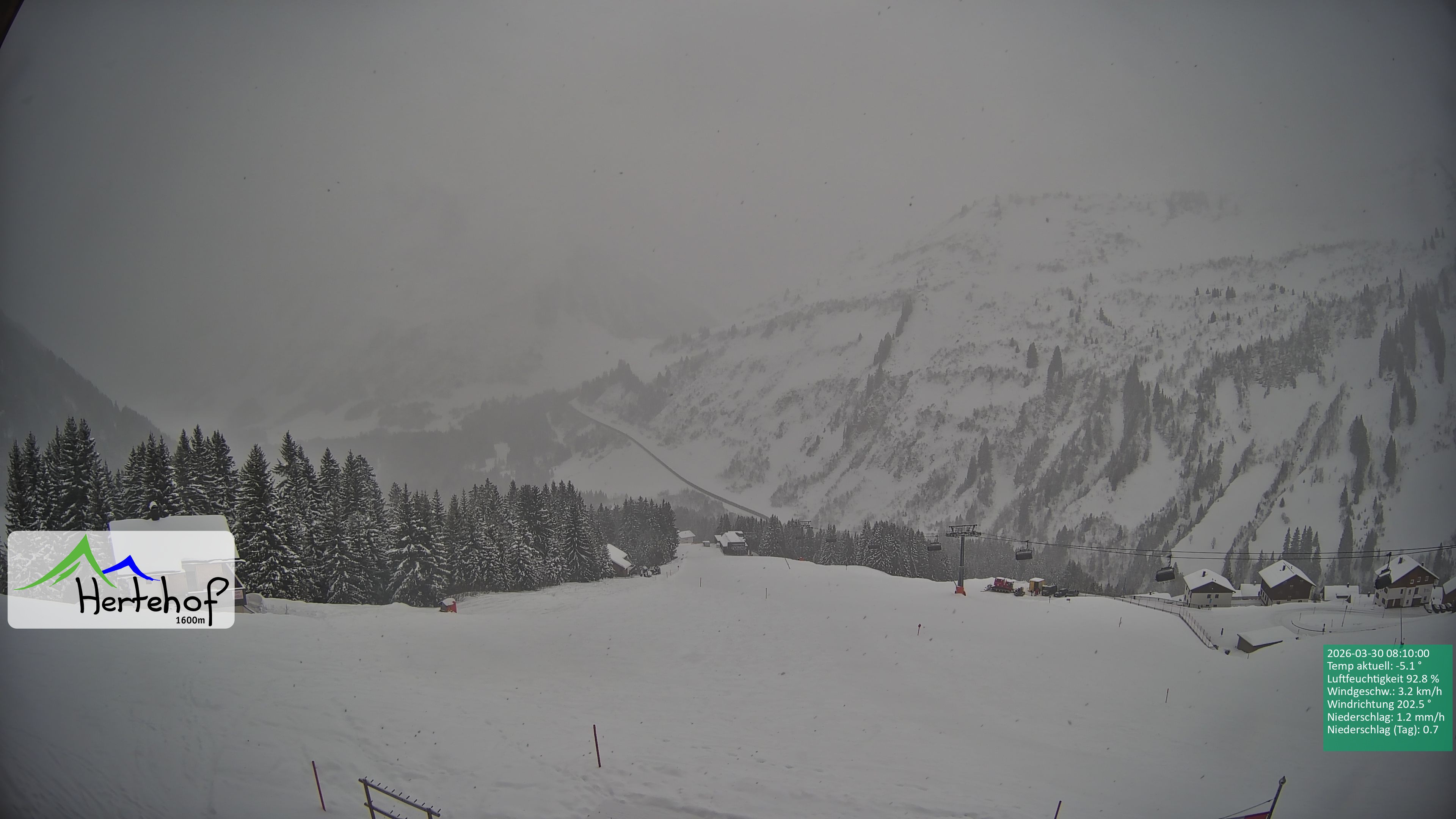 Archiv Foto Webcam Damüls: Blick vom Hertehof