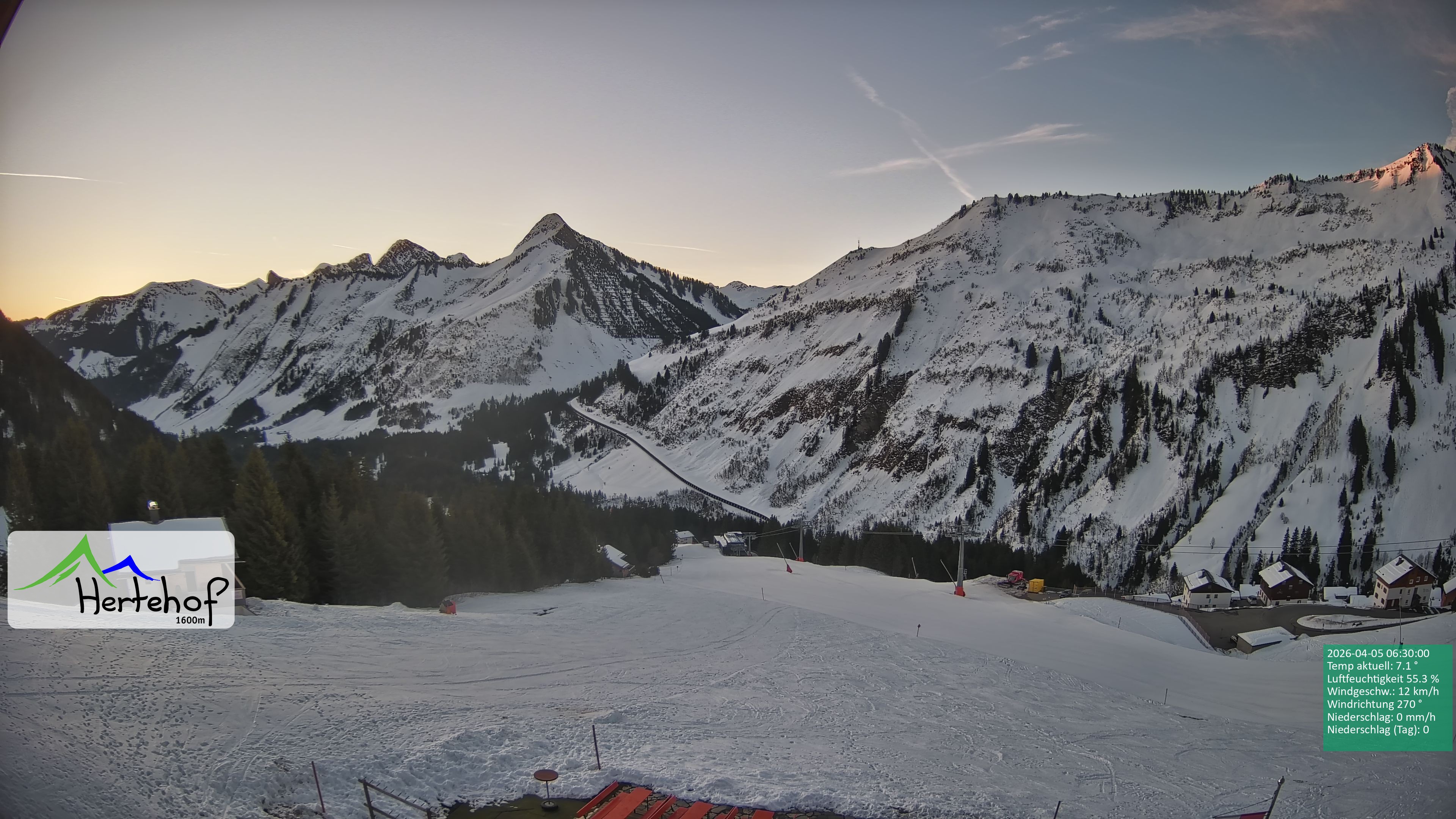 Archiv Foto Webcam Damüls: Blick vom Hertehof