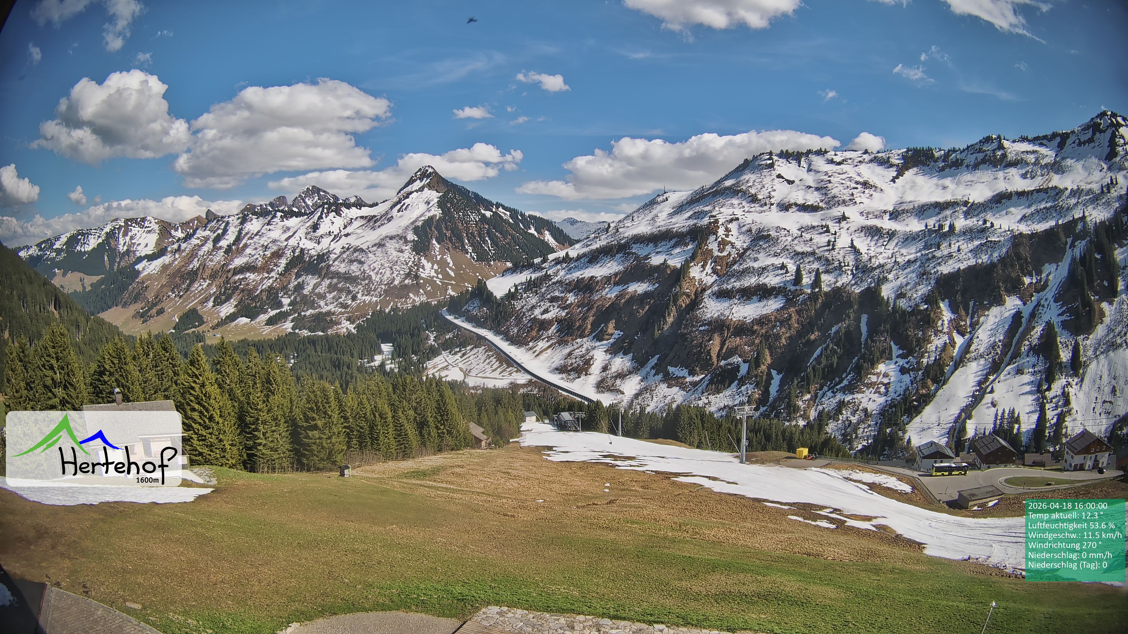 Archiv Foto Webcam Damüls: Blick vom Hertehof