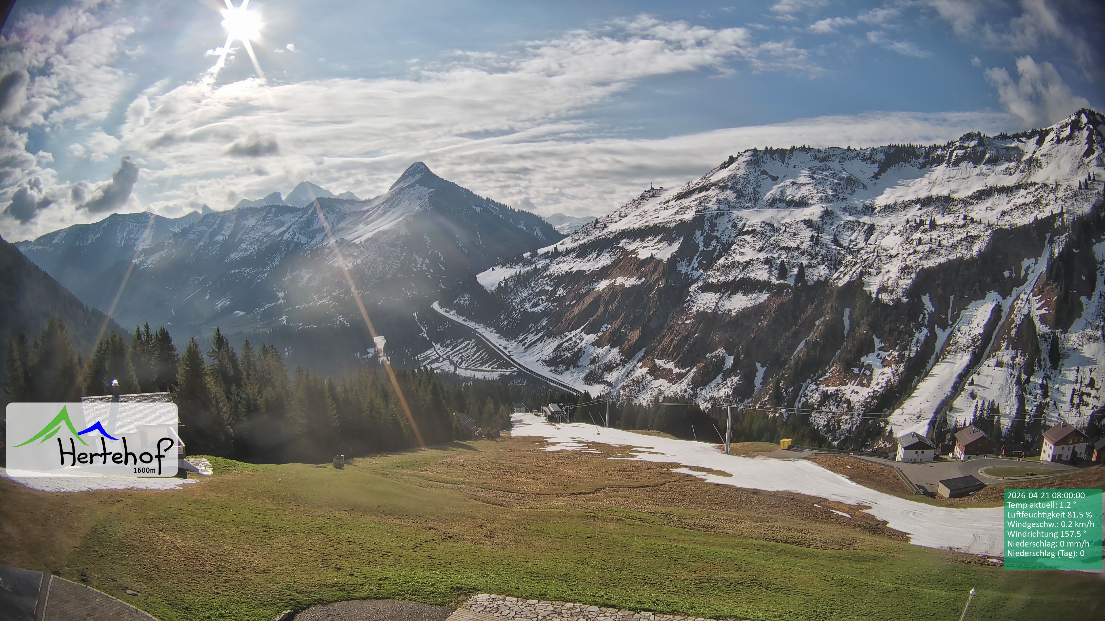 Archiv Foto Webcam Damüls: Blick vom Hertehof