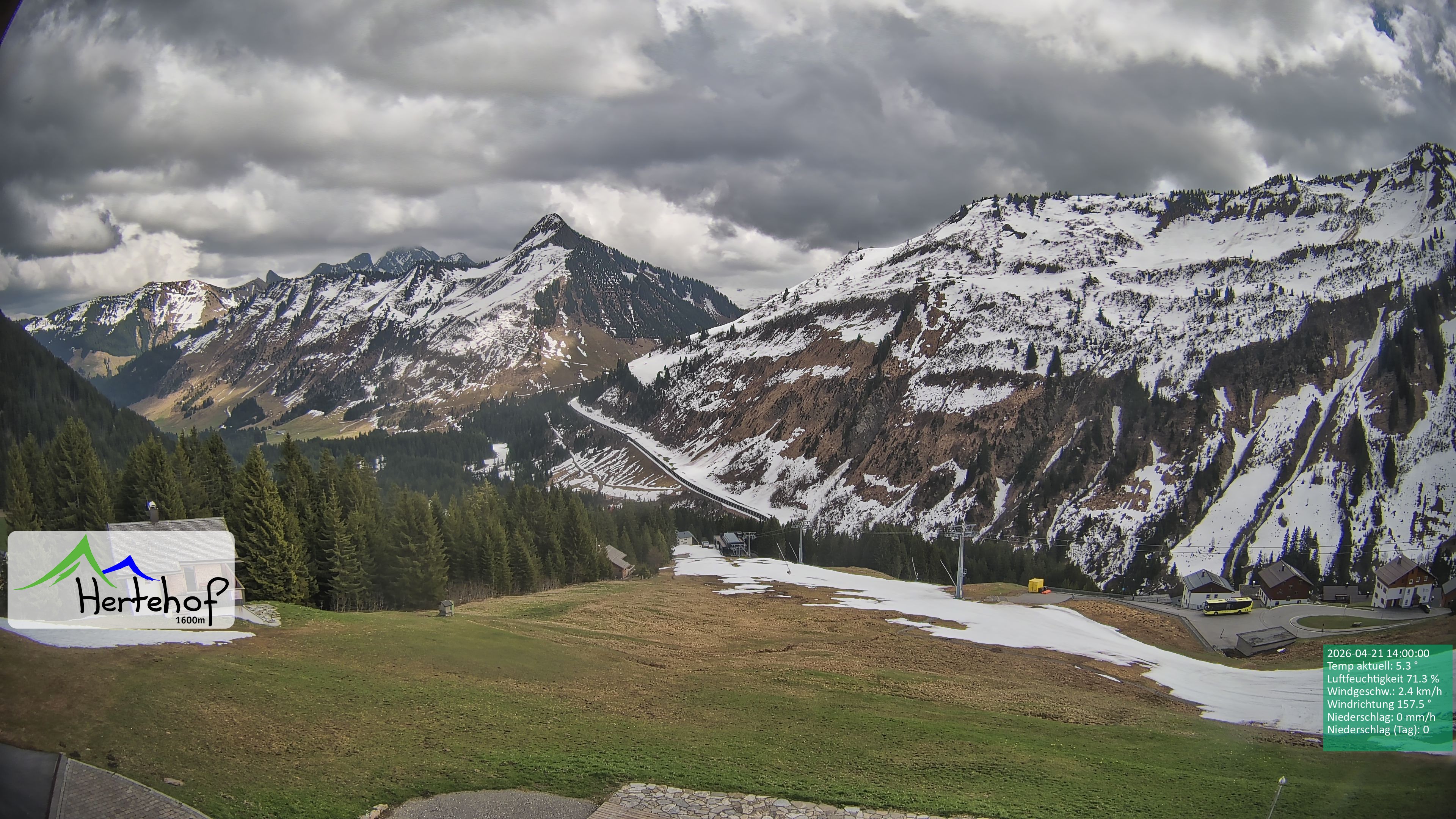 Archiv Foto Webcam Damüls: Blick vom Hertehof