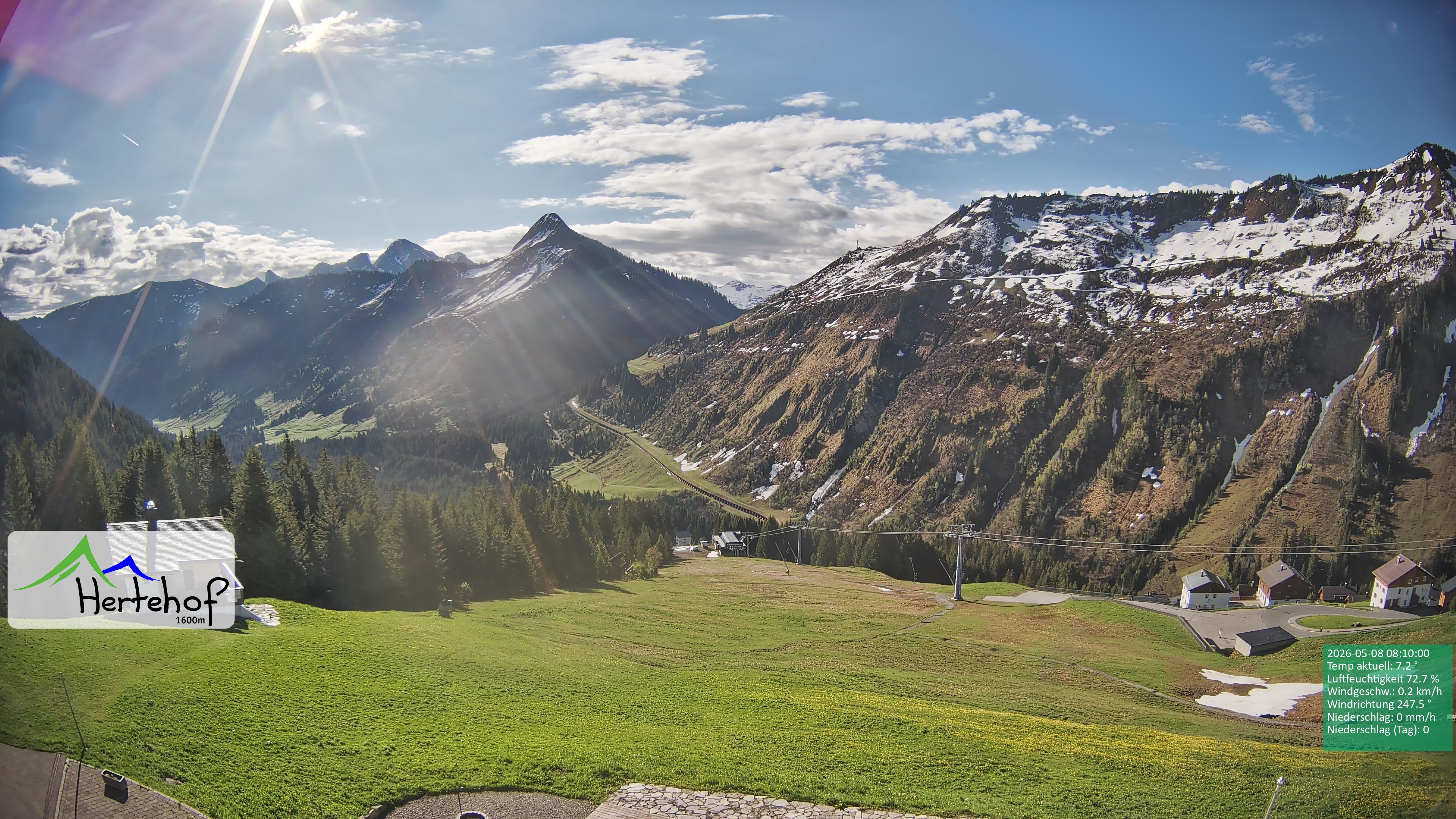 Archiv Foto Webcam Damüls: Blick vom Hertehof