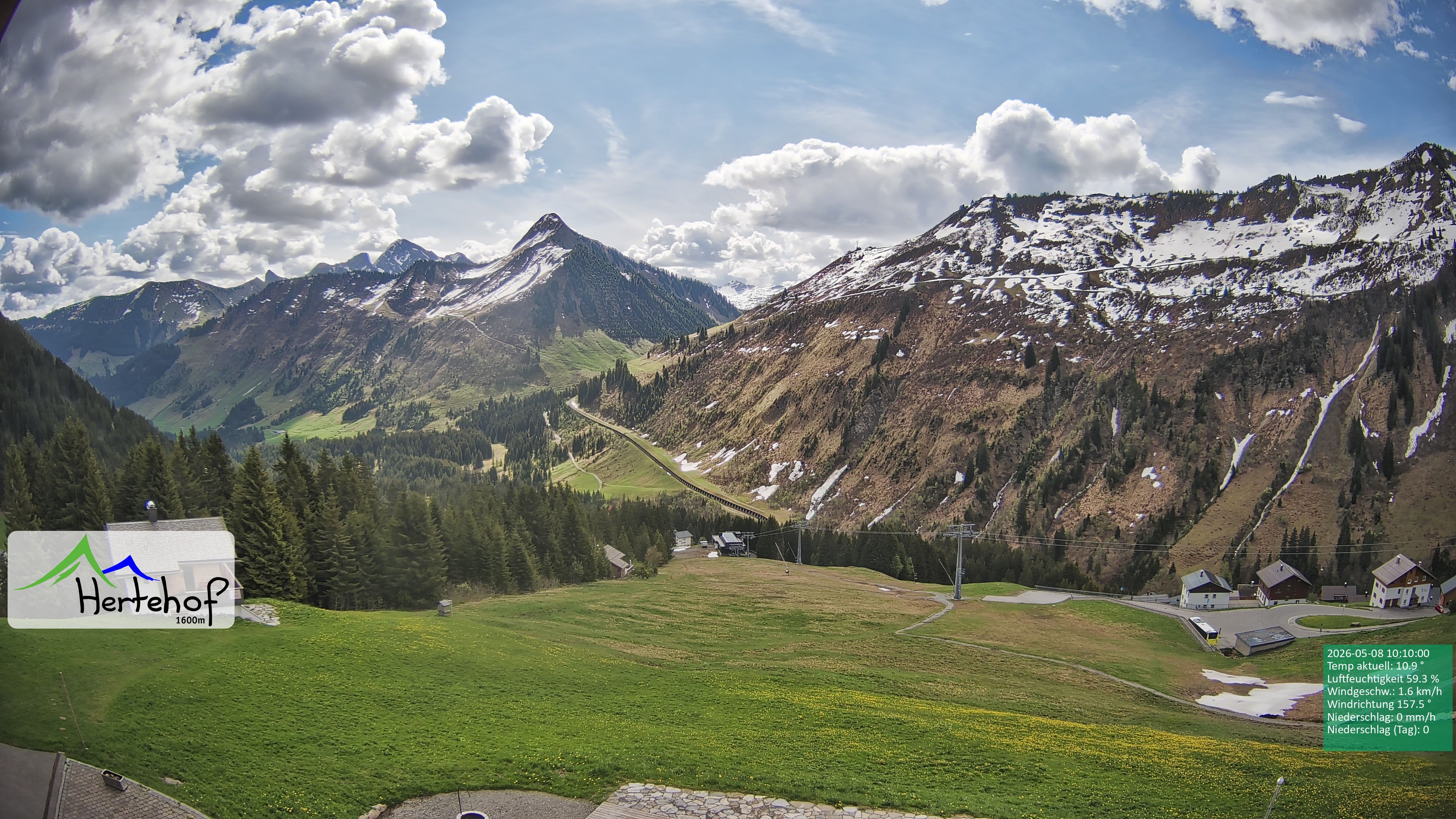 Archiv Foto Webcam Damüls: Blick vom Hertehof