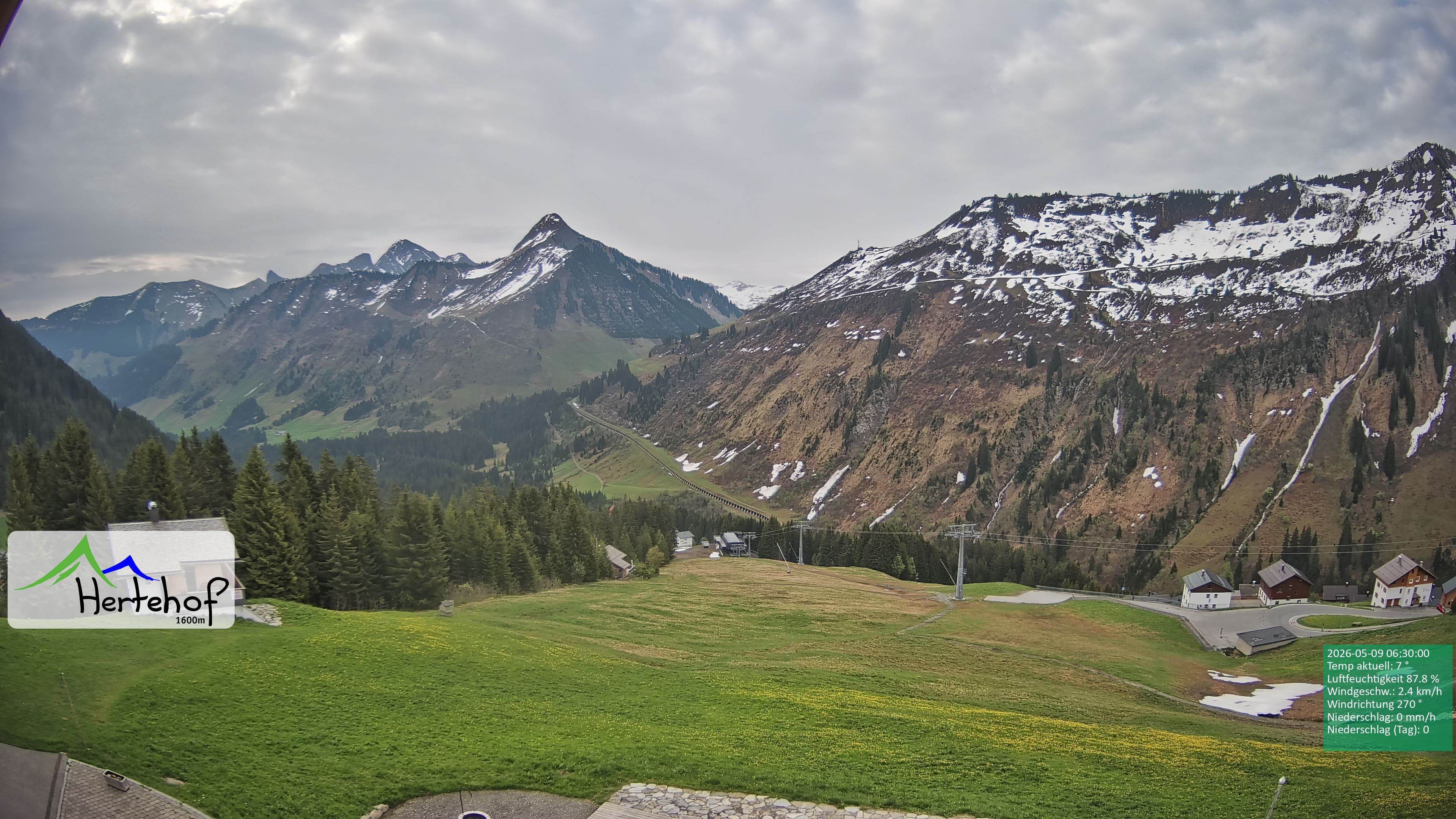 Archiv Foto Webcam Damüls: Blick vom Hertehof