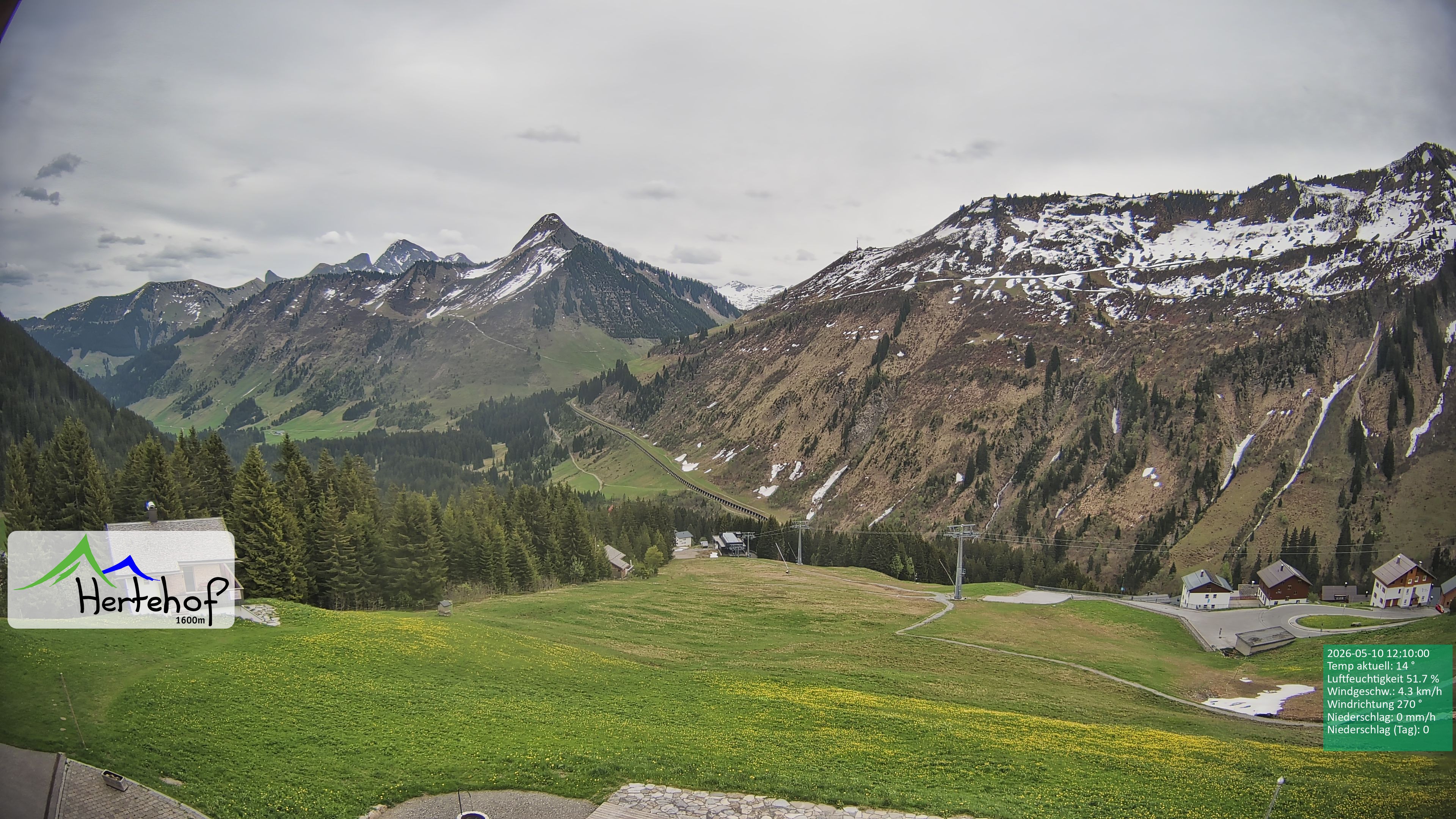 Archiv Foto Webcam Damüls: Blick vom Hertehof