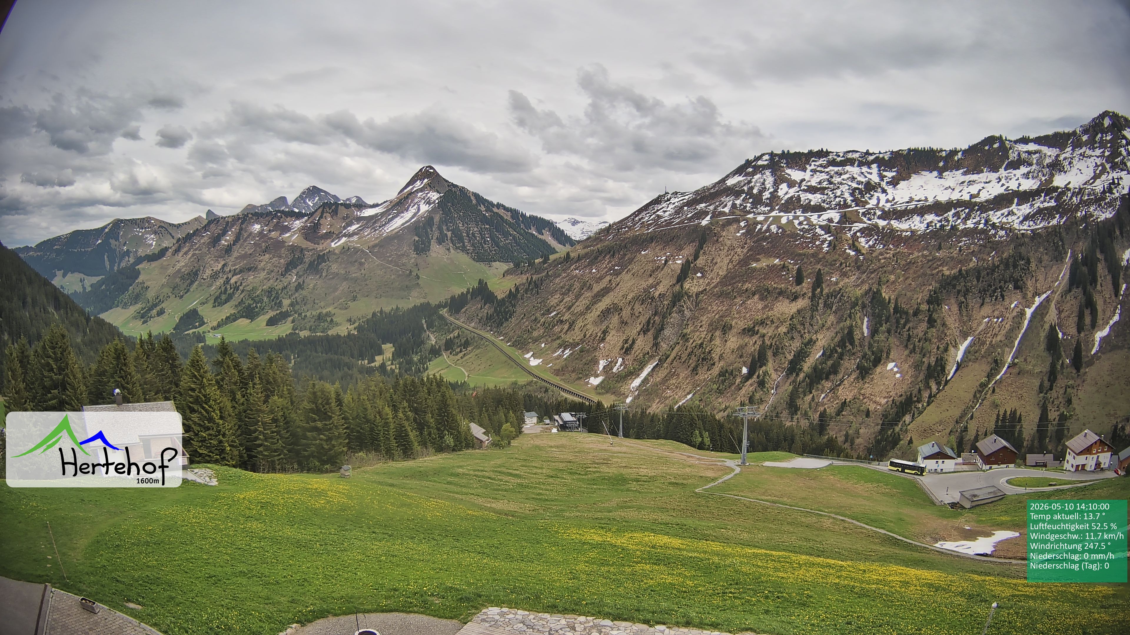 Archiv Foto Webcam Damüls: Blick vom Hertehof