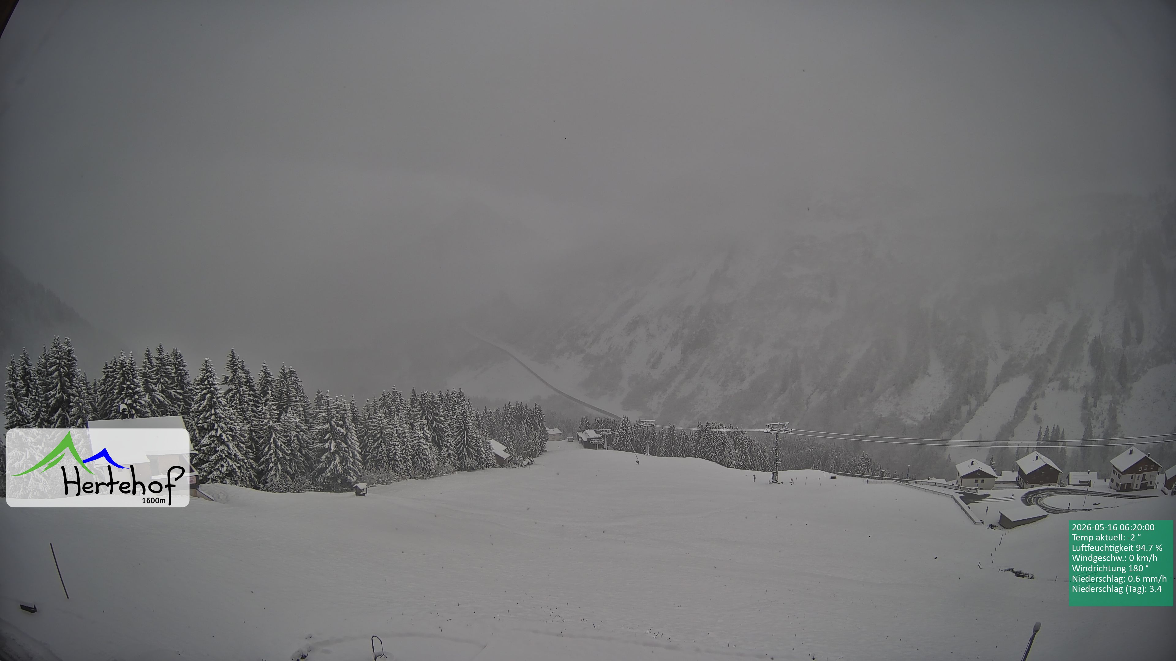 Archiv Foto Webcam Damüls: Blick vom Hertehof