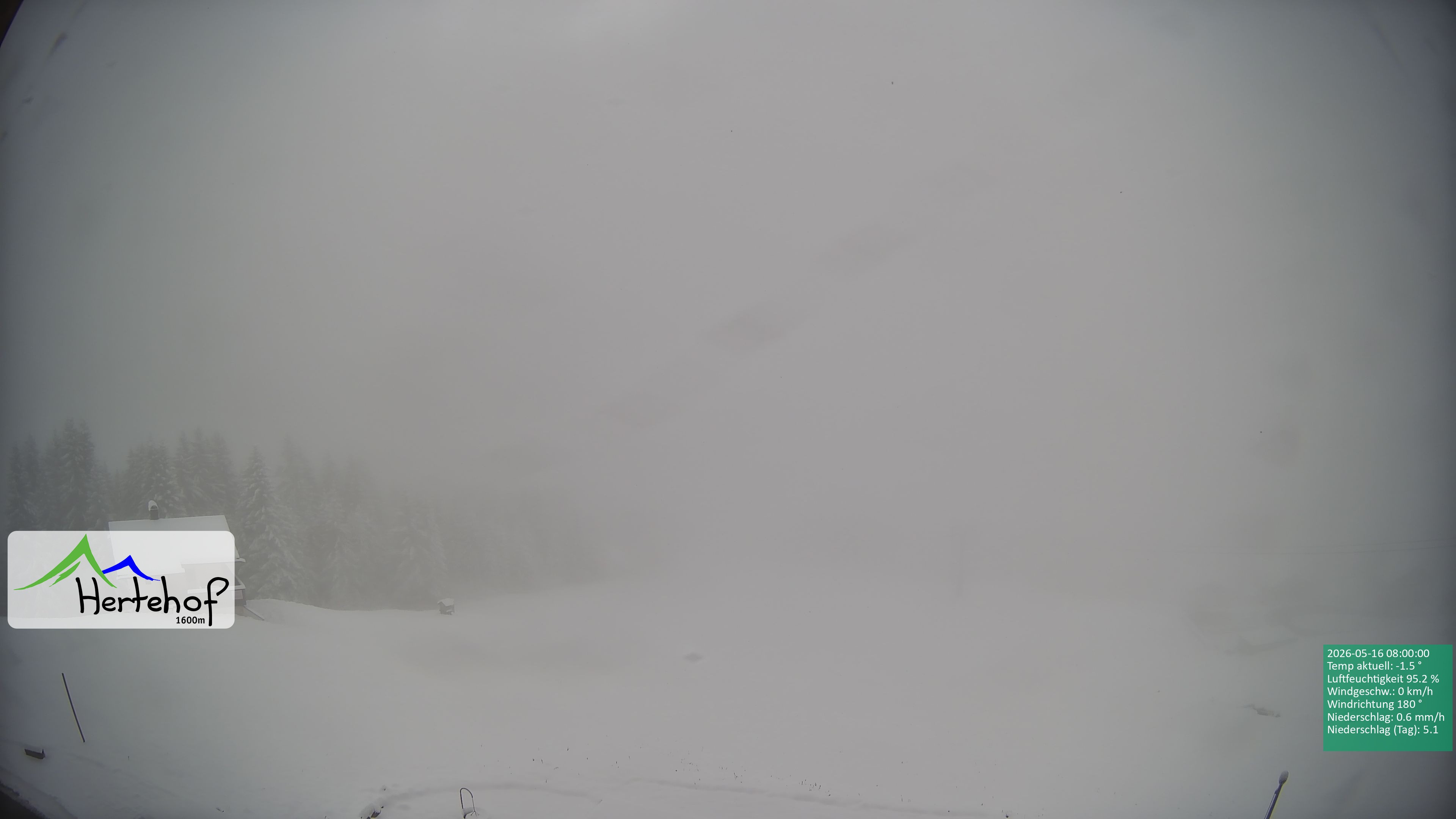 Archiv Foto Webcam Damüls: Blick vom Hertehof