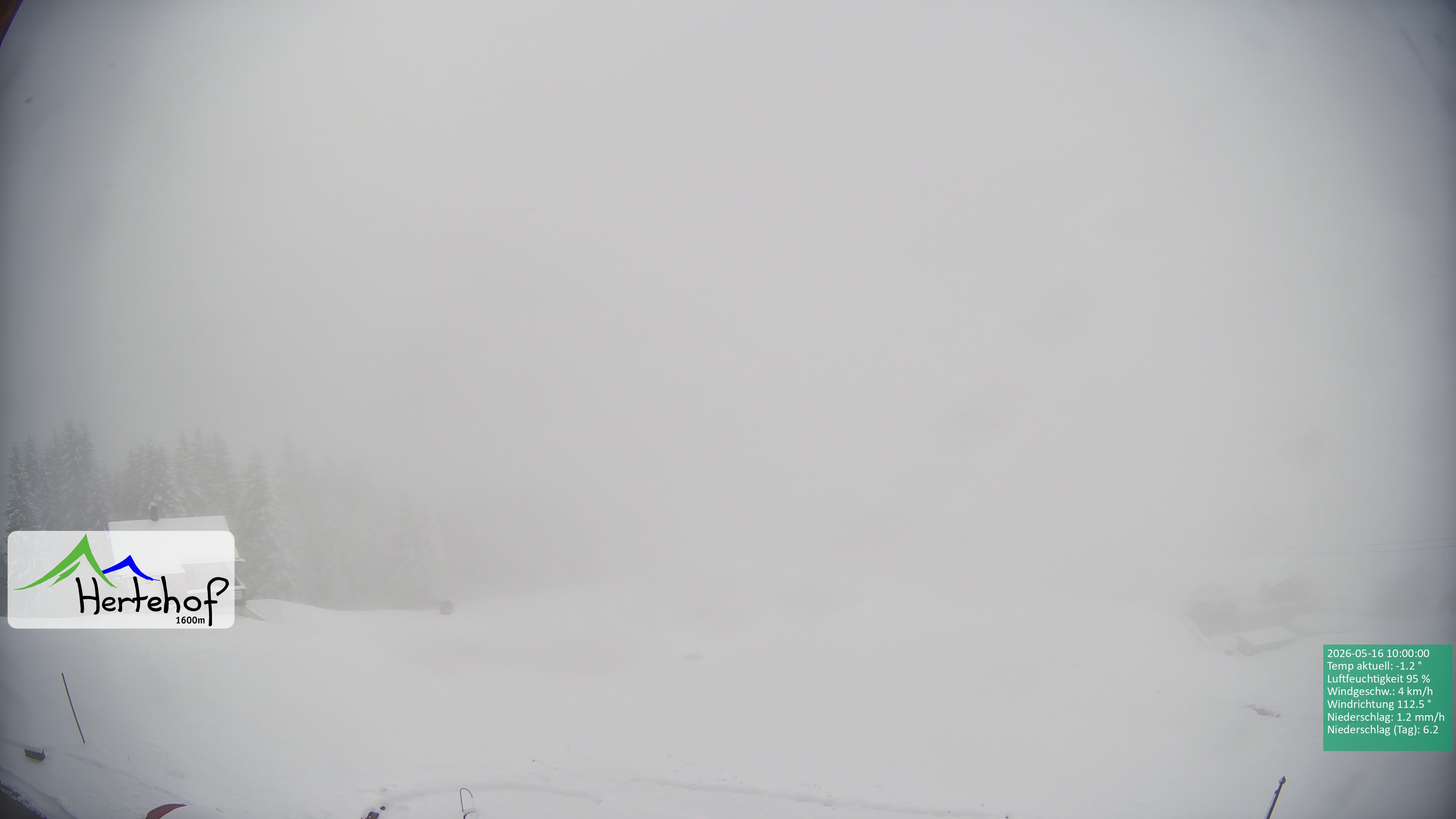 Archiv Foto Webcam Damüls: Blick vom Hertehof