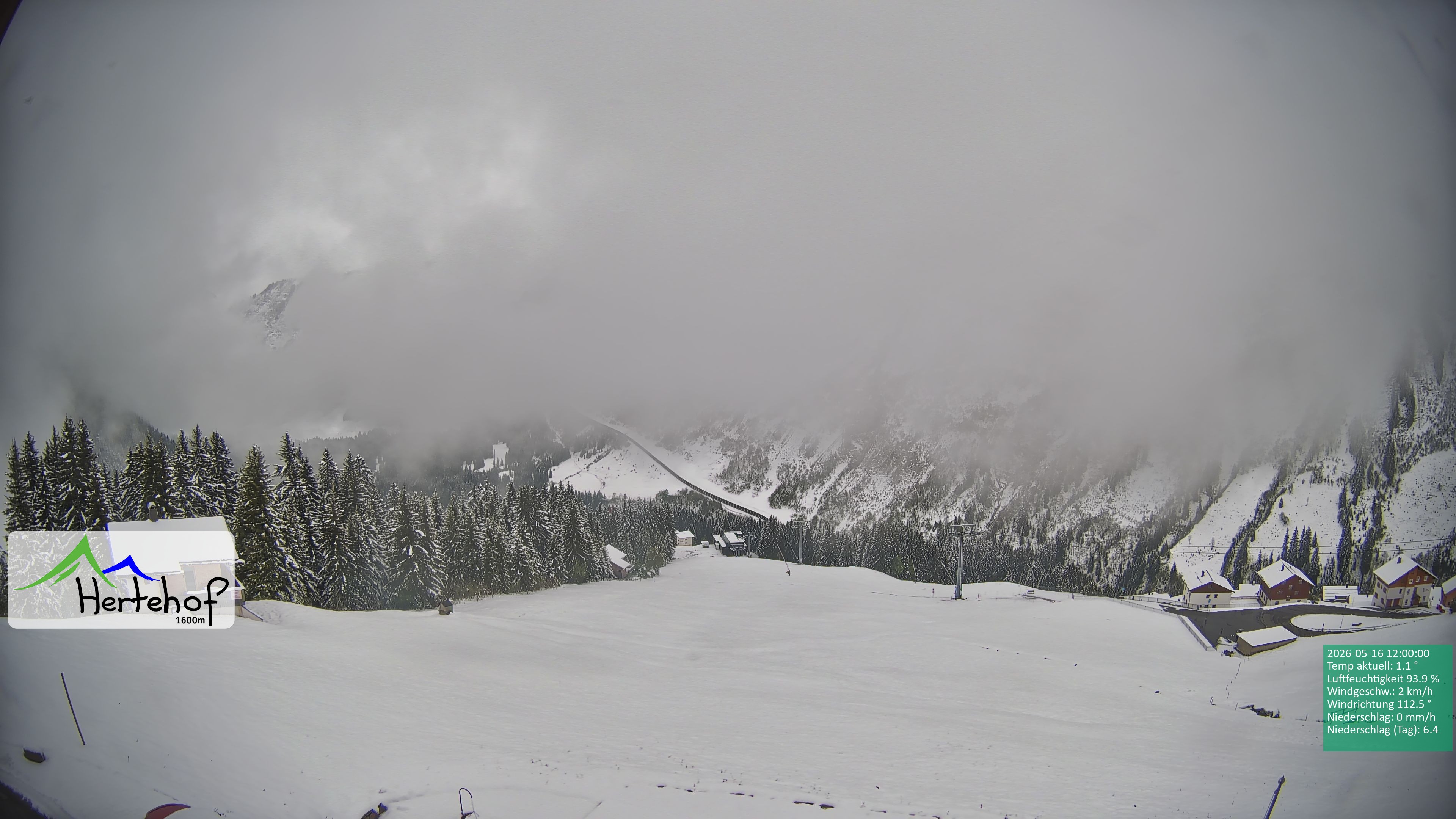 Archiv Foto Webcam Damüls: Blick vom Hertehof