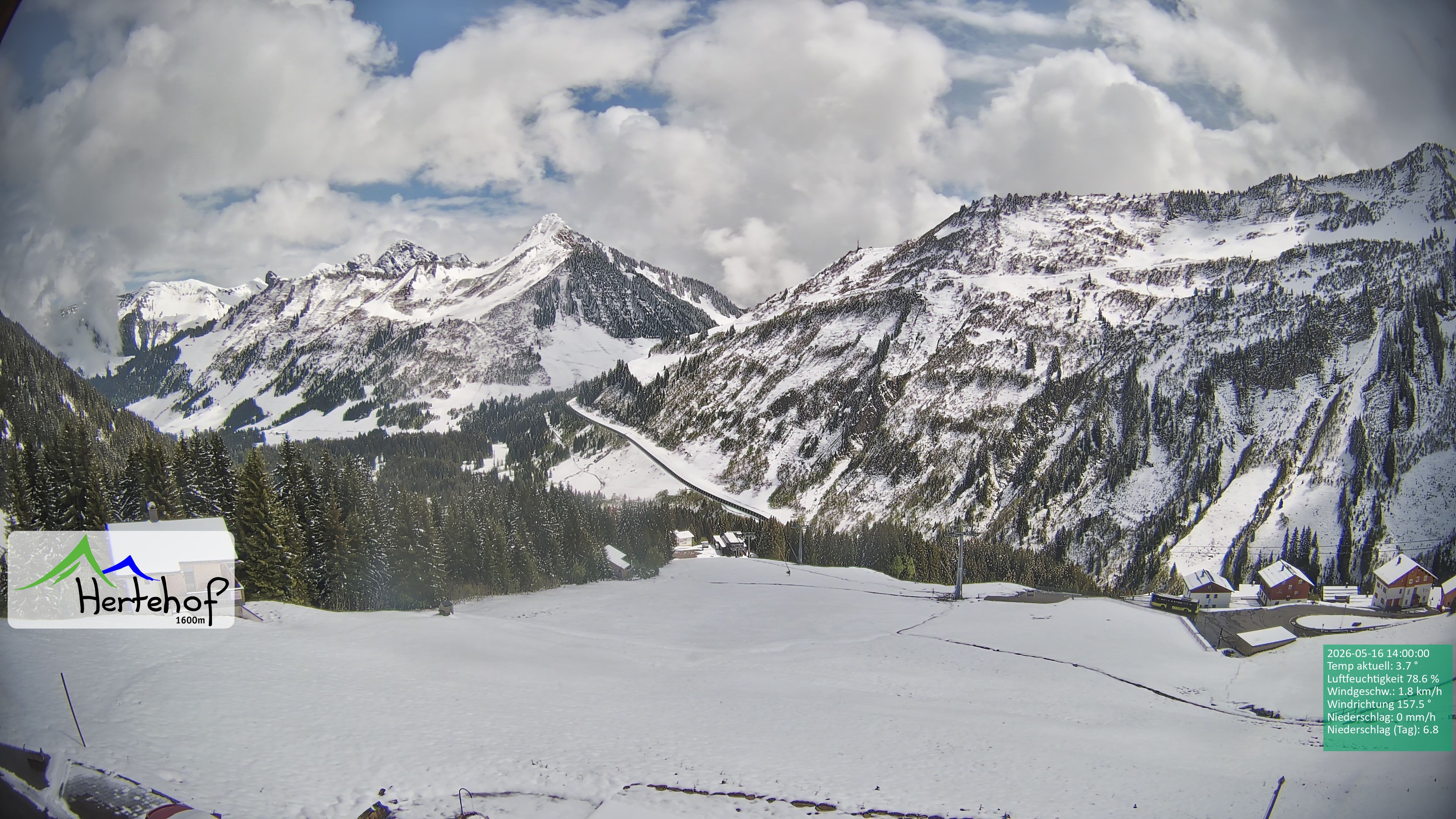 Archiv Foto Webcam Damüls: Blick vom Hertehof