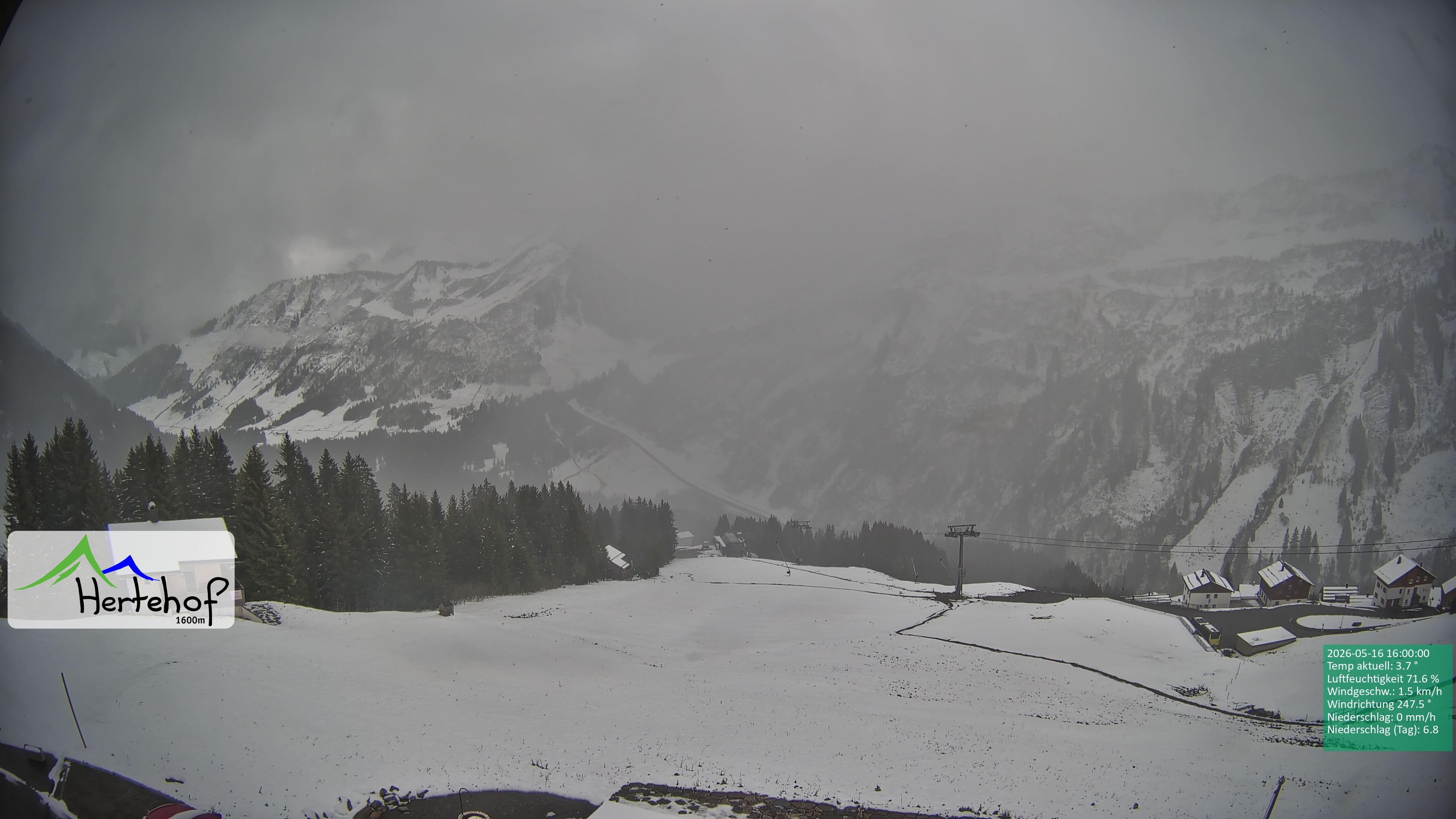 Archiv Foto Webcam Damüls: Blick vom Hertehof