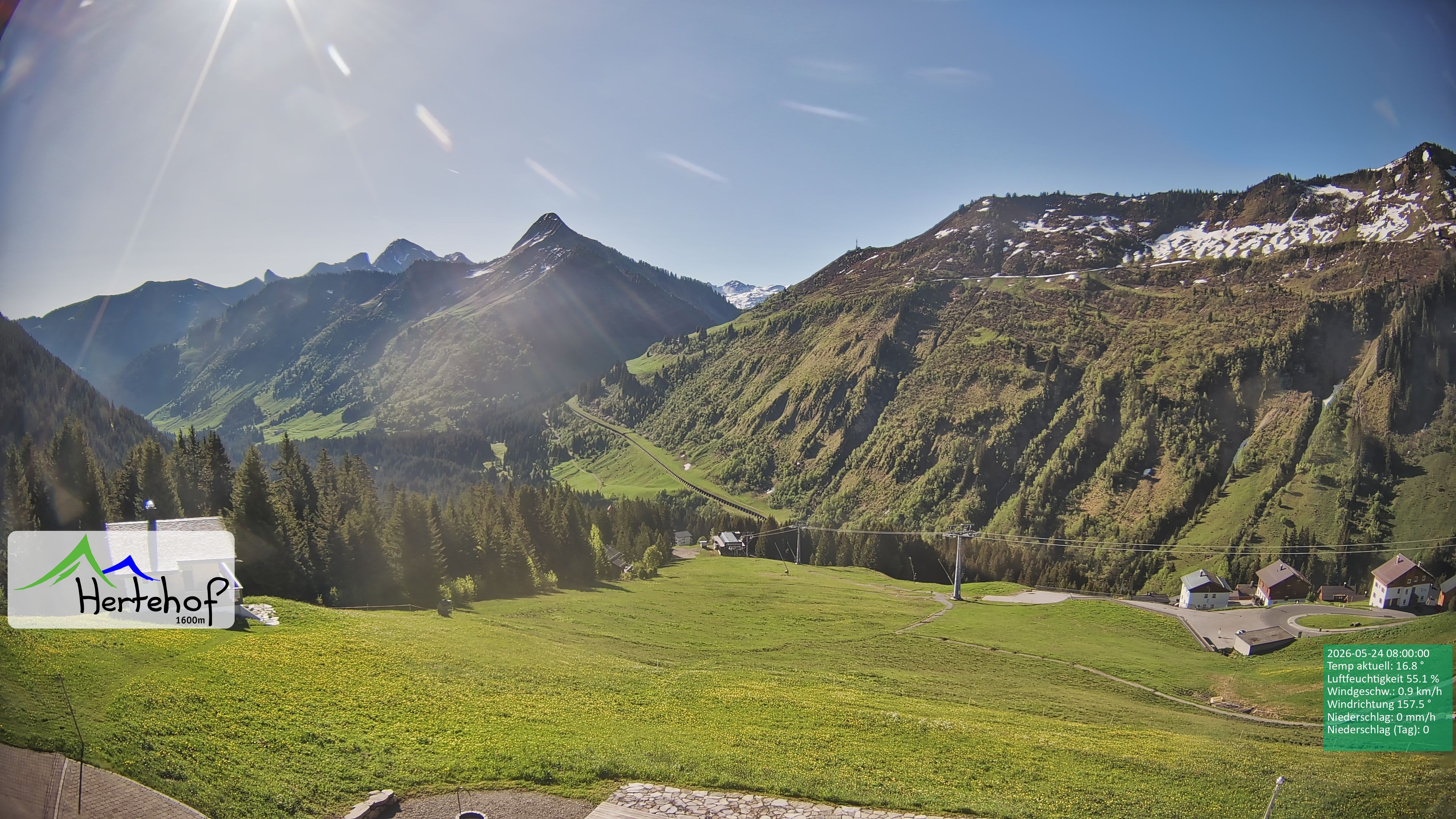 Archiv Foto Webcam Damüls: Blick vom Hertehof