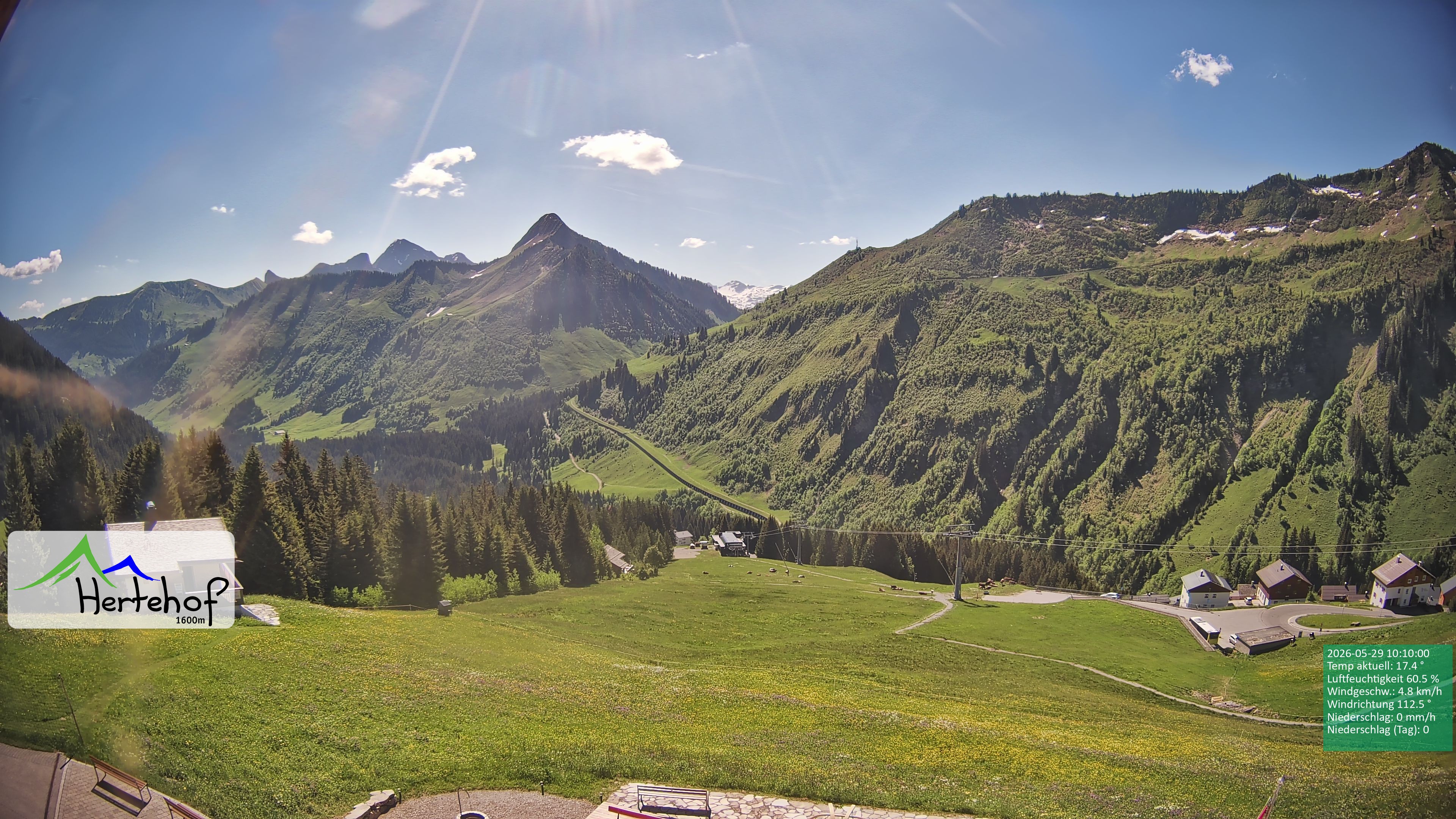 Archiv Foto Webcam Damüls: Blick vom Hertehof