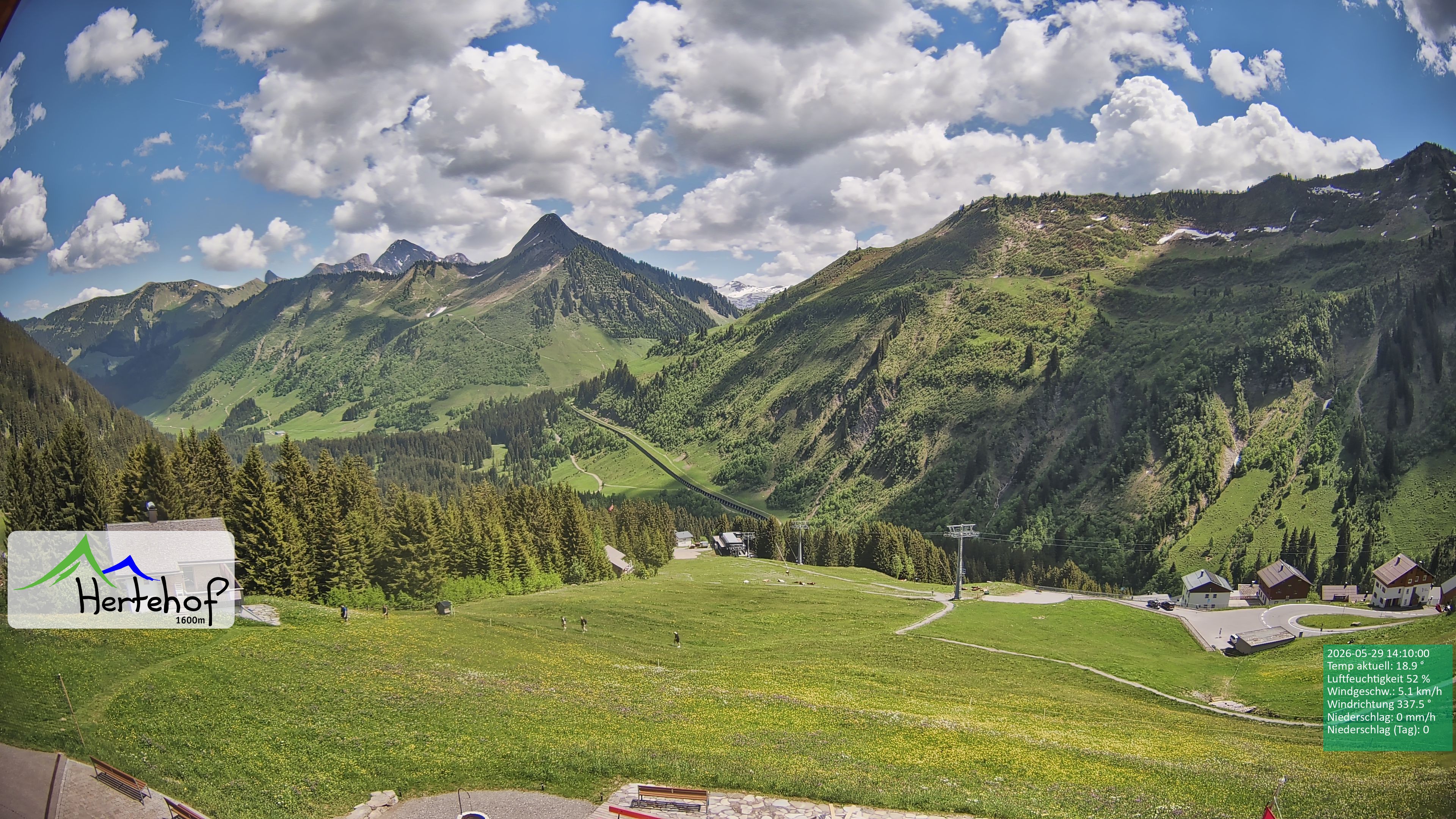 Archiv Foto Webcam Damüls: Blick vom Hertehof