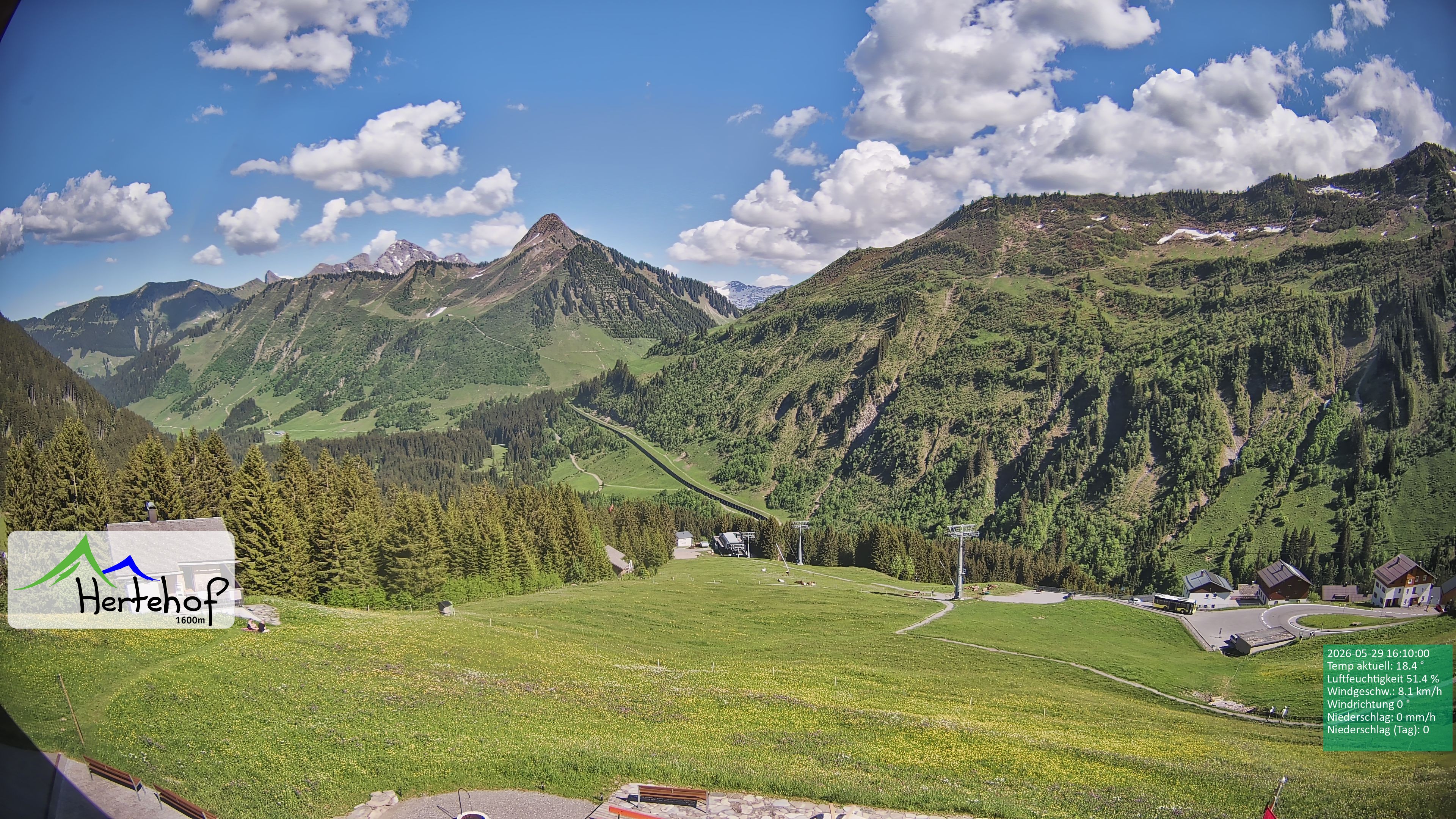 Archiv Foto Webcam Damüls: Blick vom Hertehof