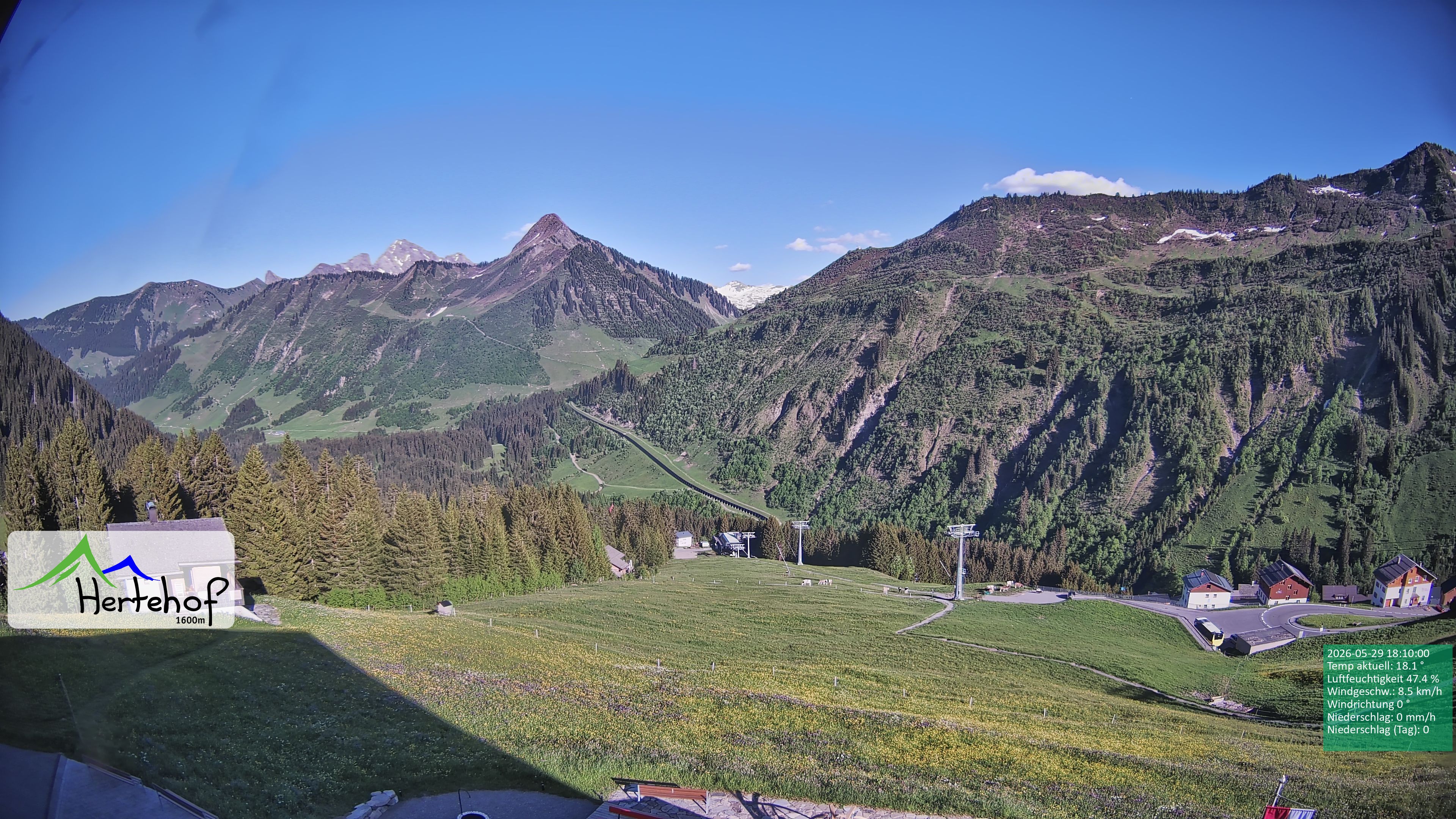 Archiv Foto Webcam Damüls: Blick vom Hertehof