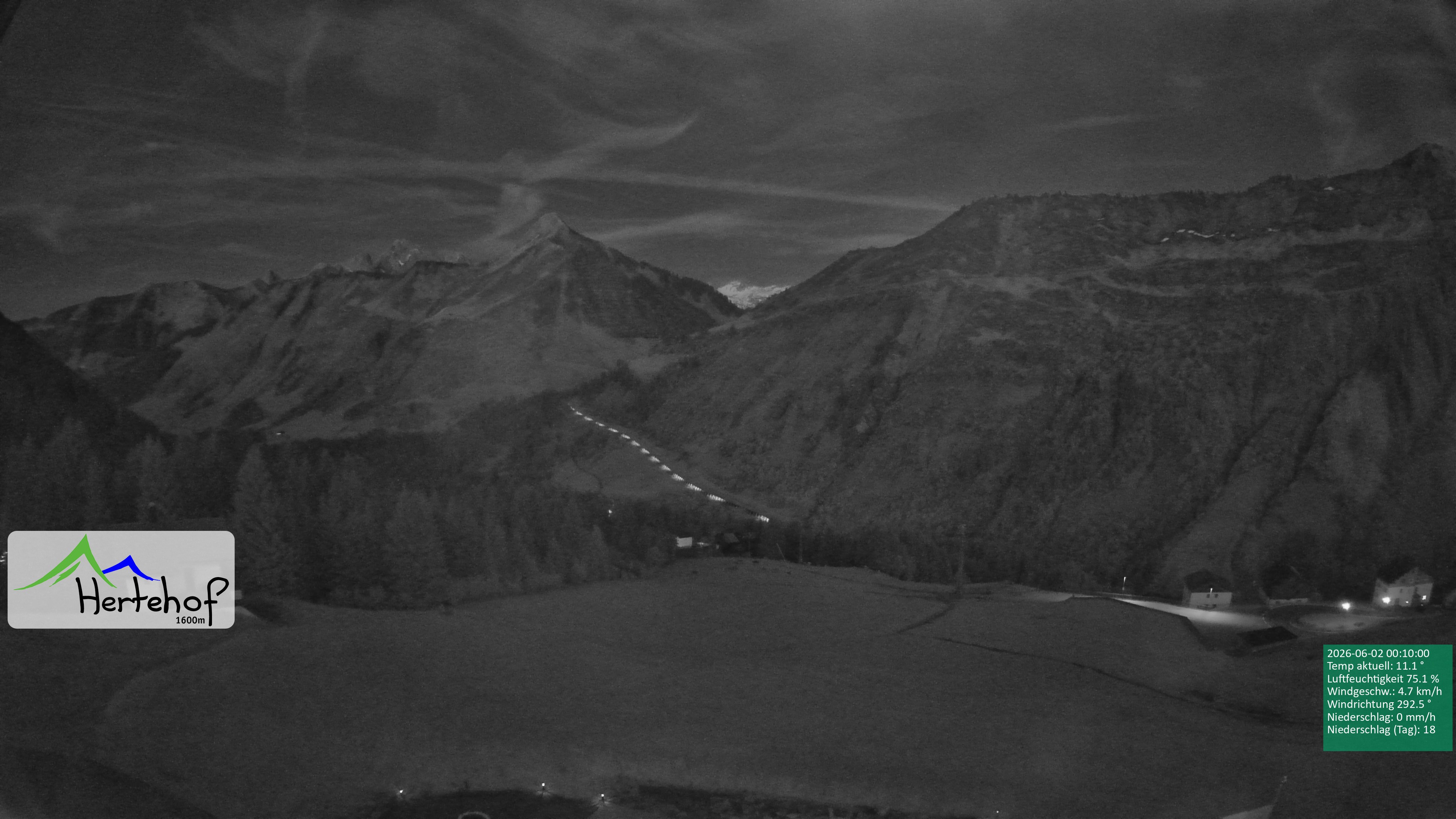 Archiv Foto Webcam Damüls: Blick vom Hertehof