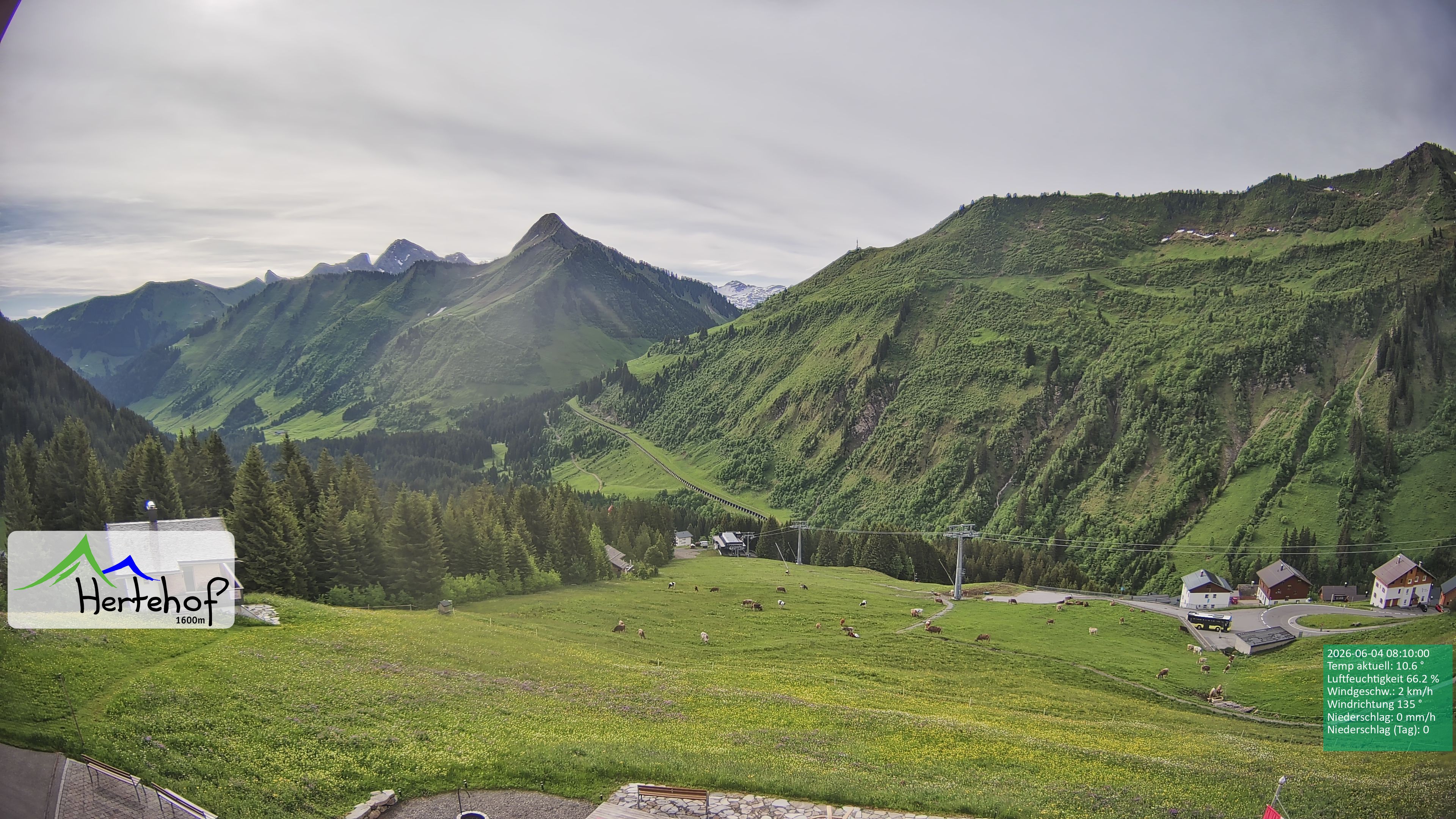 Archiv Foto Webcam Damüls: Blick vom Hertehof