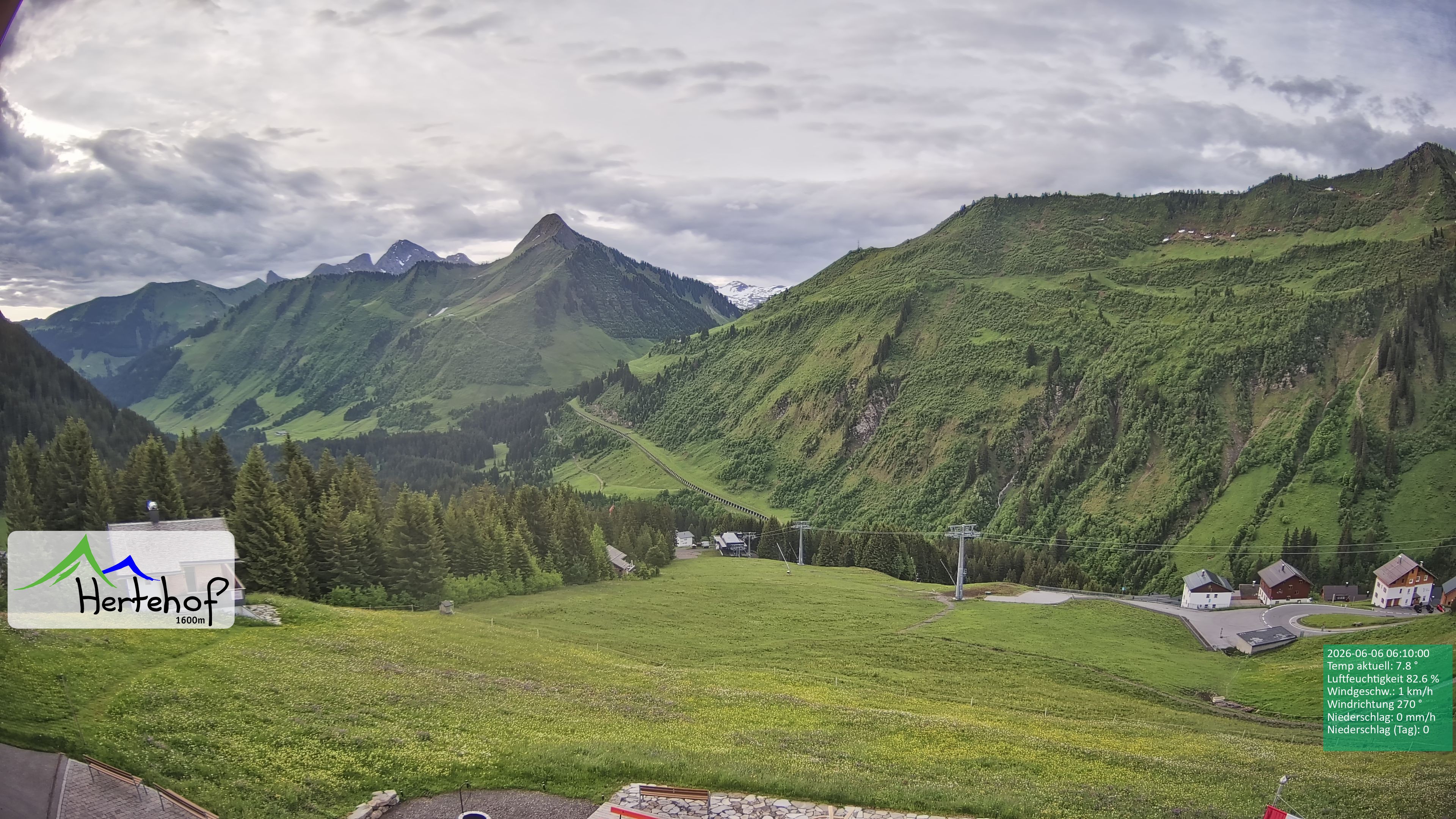 Archiv Foto Webcam Damüls: Blick vom Hertehof