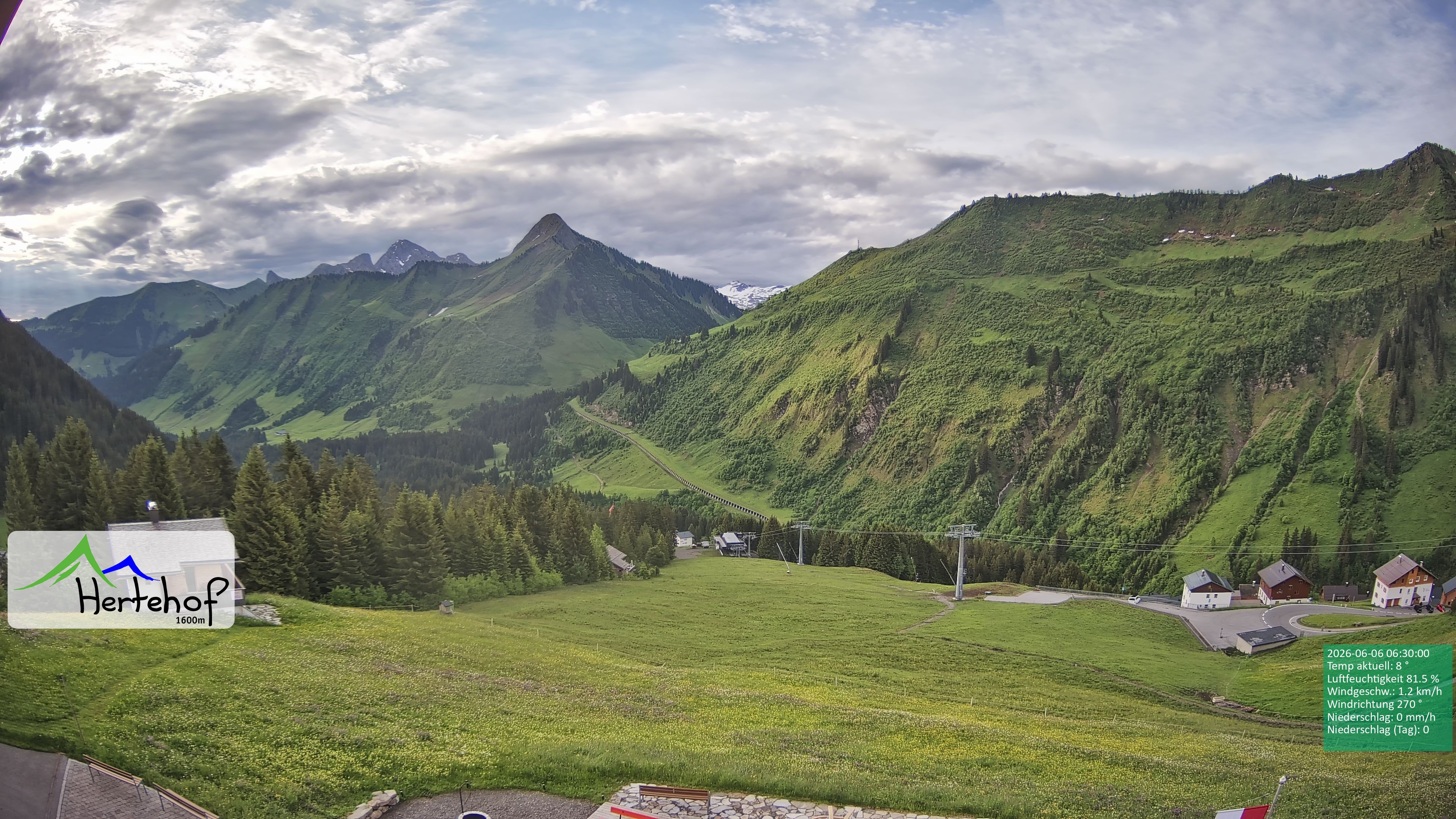 Archiv Foto Webcam Damüls: Blick vom Hertehof