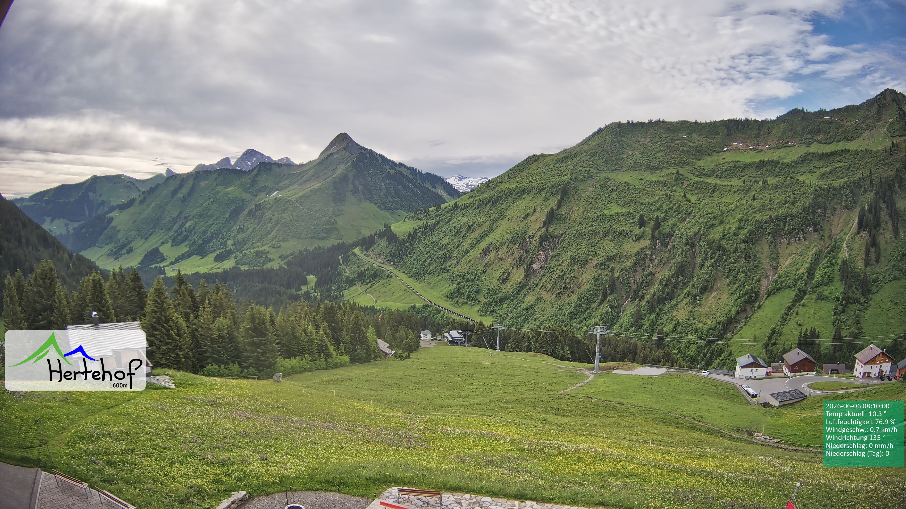 Archiv Foto Webcam Damüls: Blick vom Hertehof