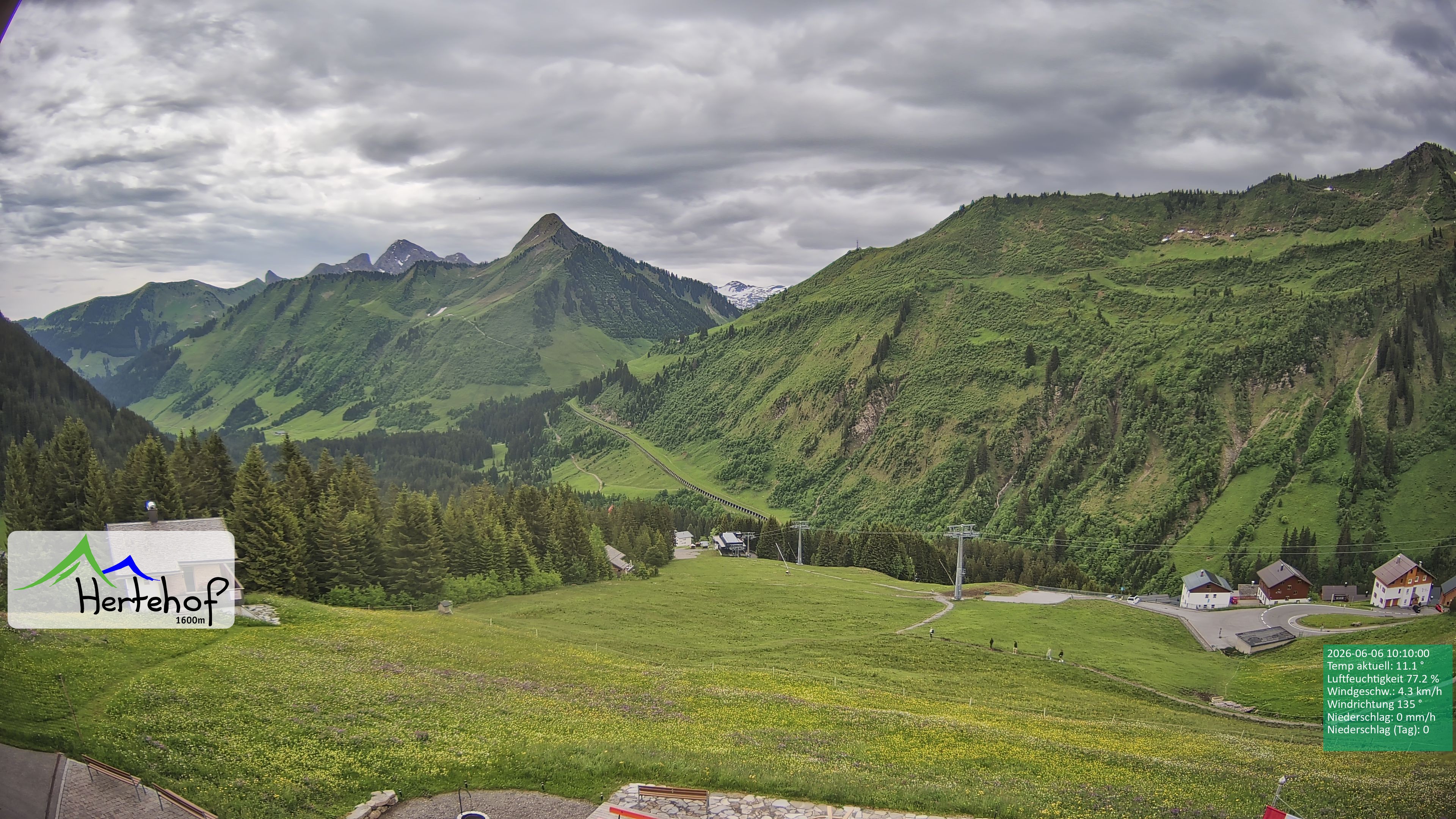 Archiv Foto Webcam Damüls: Blick vom Hertehof