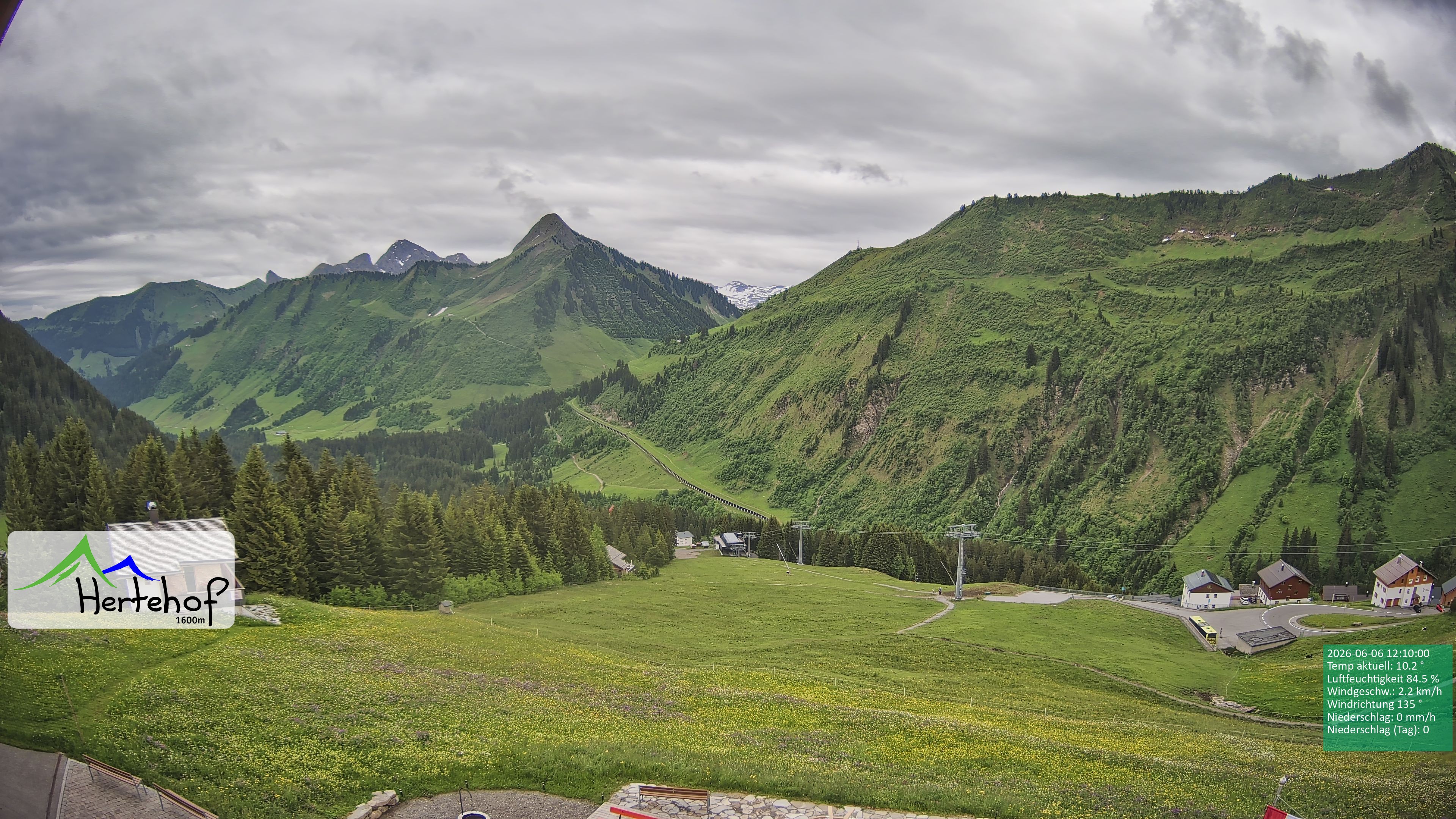 Archiv Foto Webcam Damüls: Blick vom Hertehof