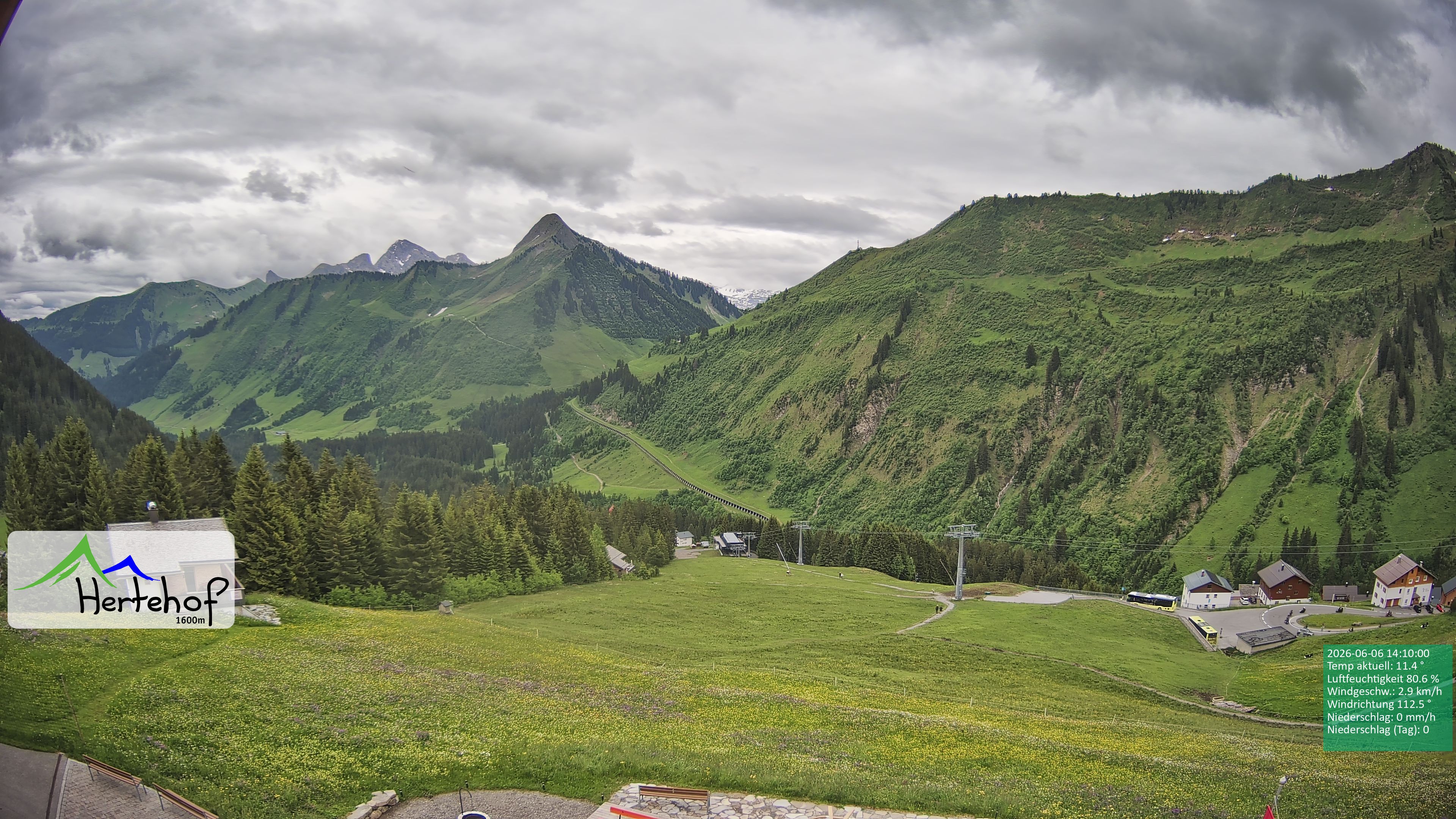 Archiv Foto Webcam Damüls: Blick vom Hertehof
