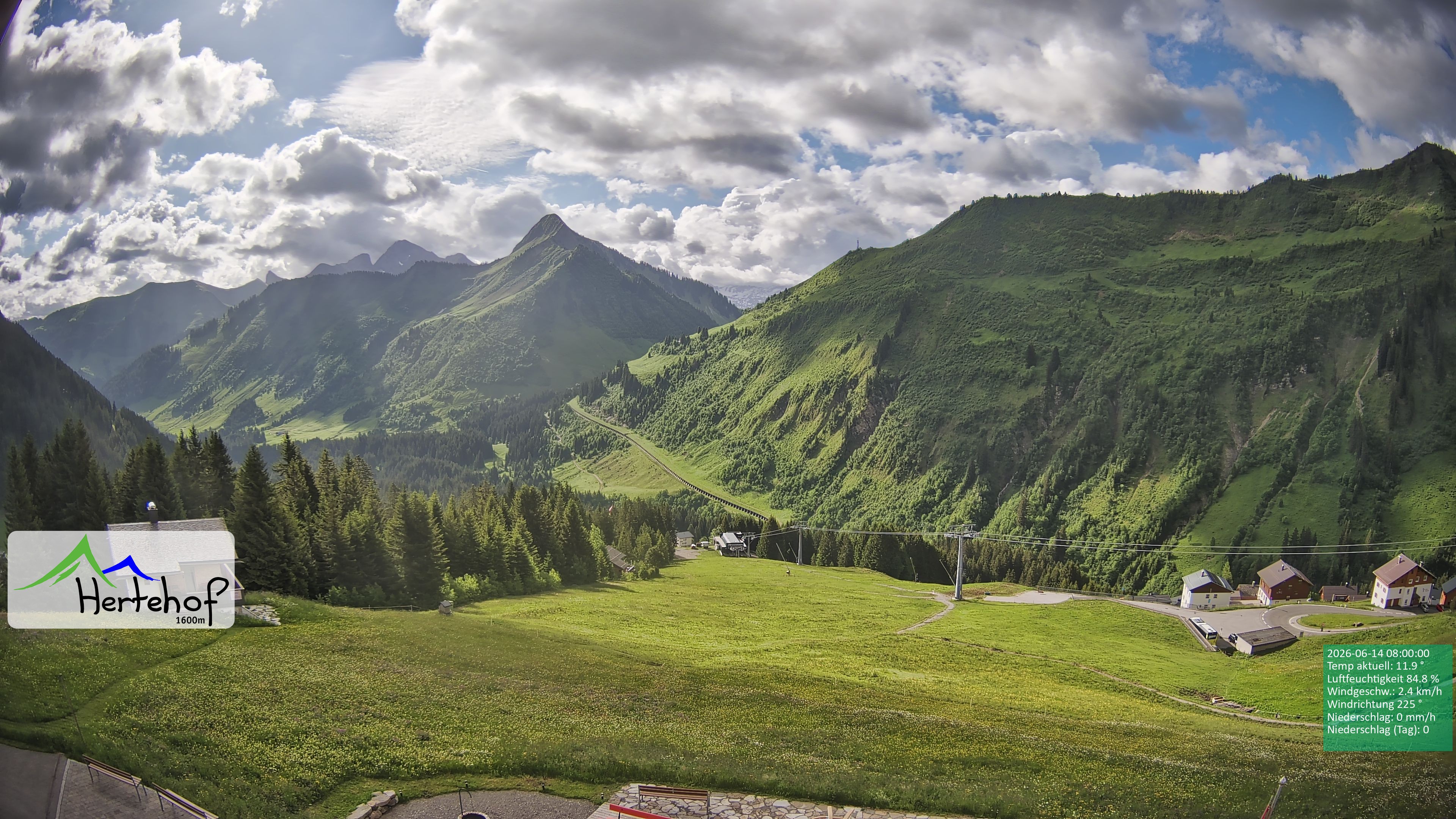 Archiv Foto Webcam Damüls: Blick vom Hertehof