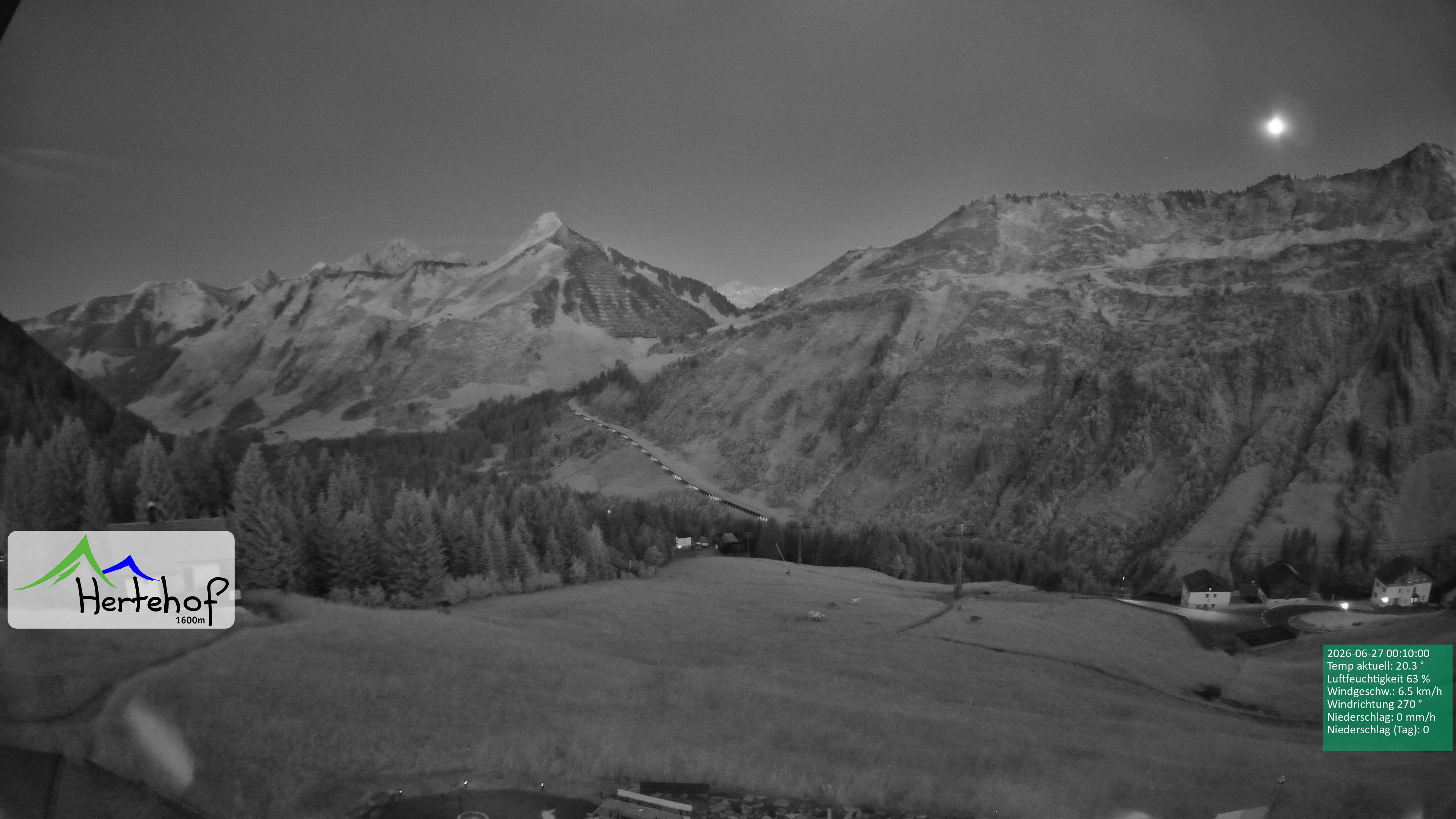 Archiv Foto Webcam Damüls: Blick vom Hertehof