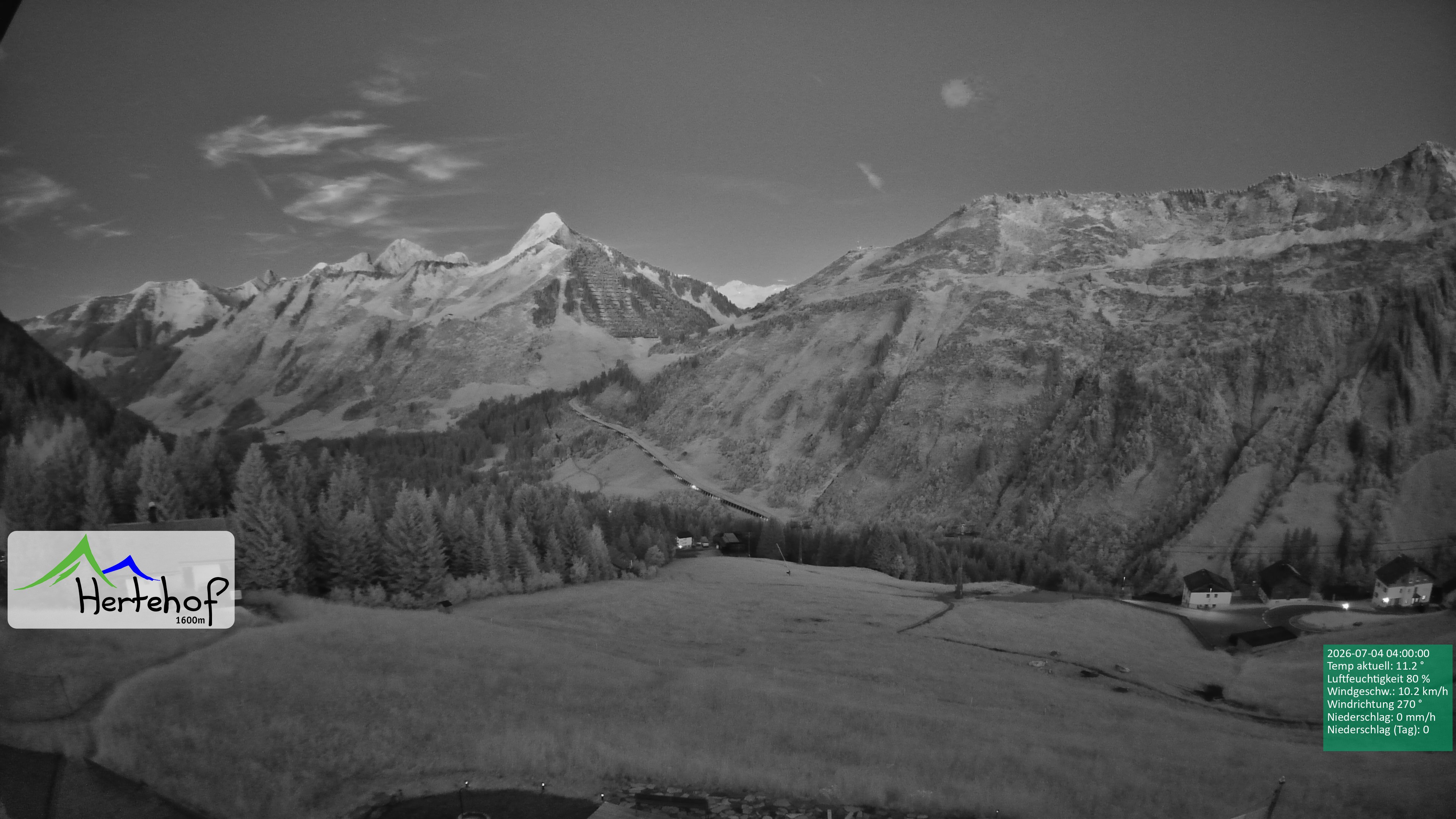 Archiv Foto Webcam Damüls: Blick vom Hertehof