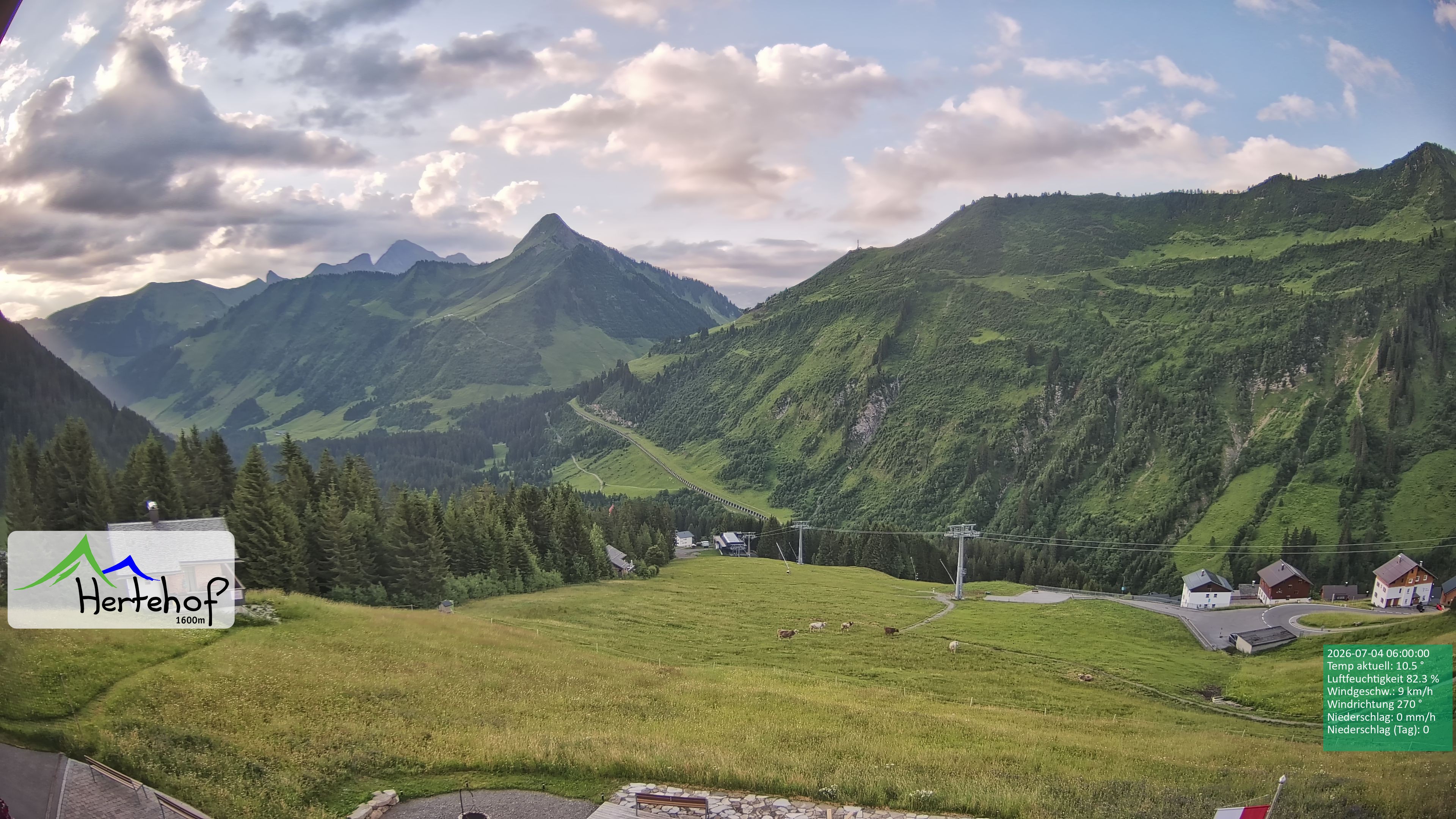 Archiv Foto Webcam Damüls: Blick vom Hertehof