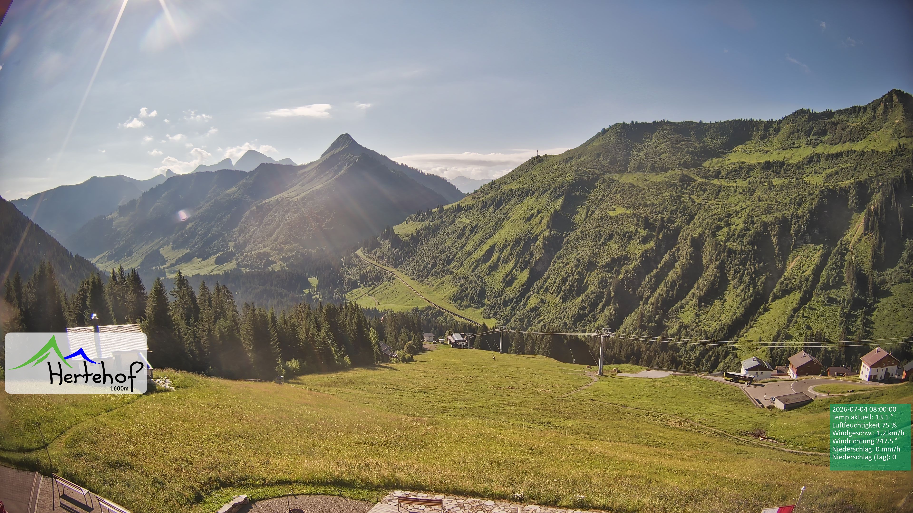 Archiv Foto Webcam Damüls: Blick vom Hertehof