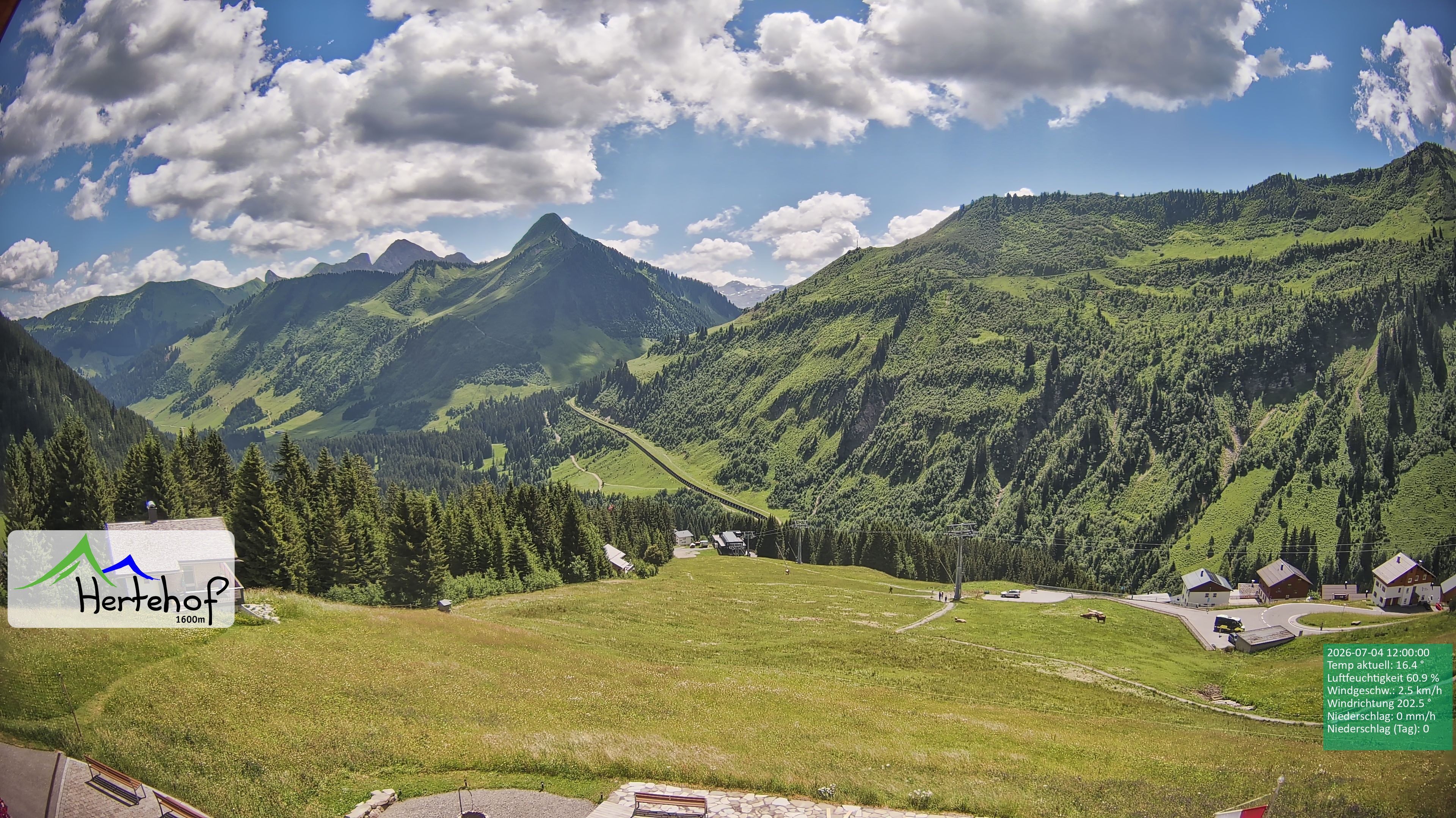 Archiv Foto Webcam Damüls: Blick vom Hertehof