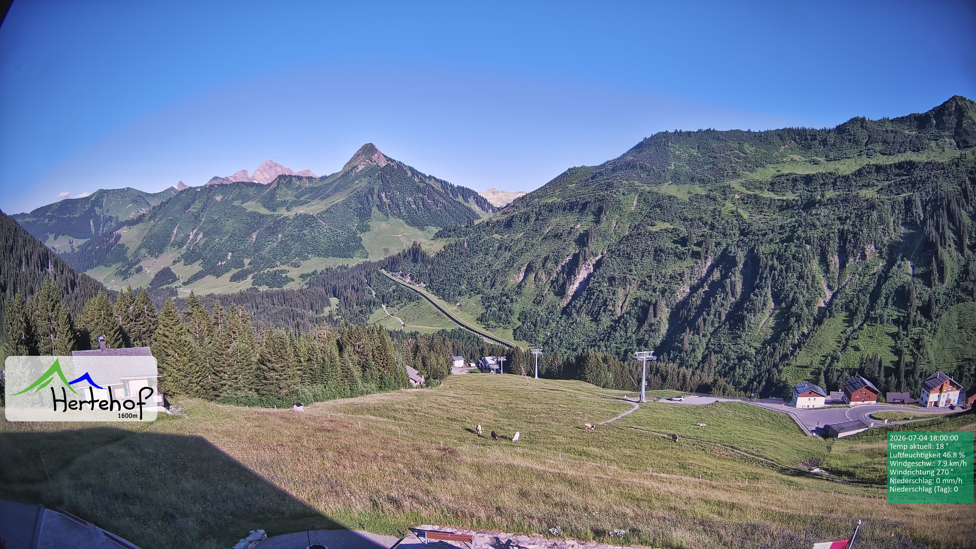 Archiv Foto Webcam Damüls: Blick vom Hertehof